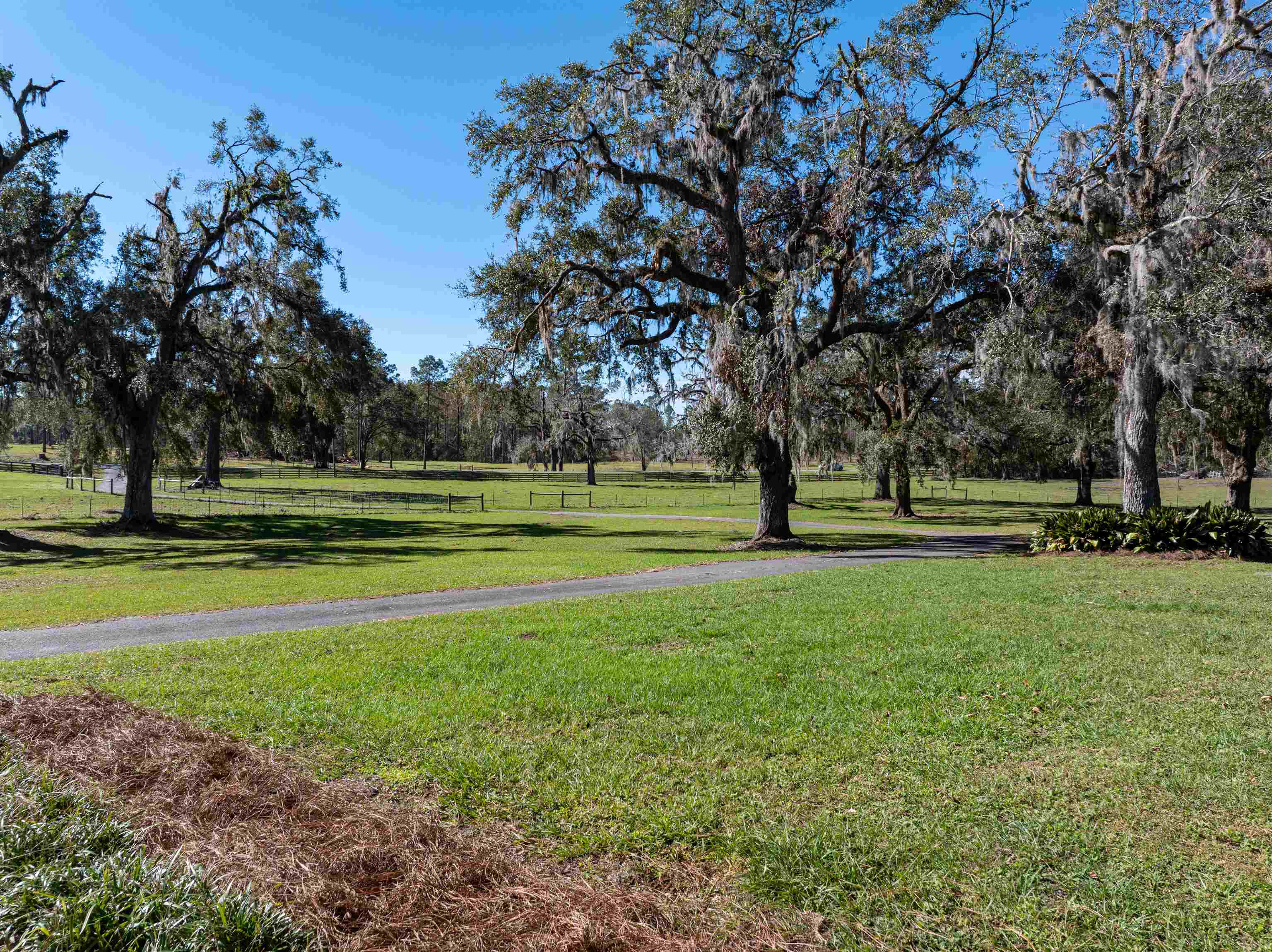 6482 NW Little Cat Road, Madison, Florida image 36