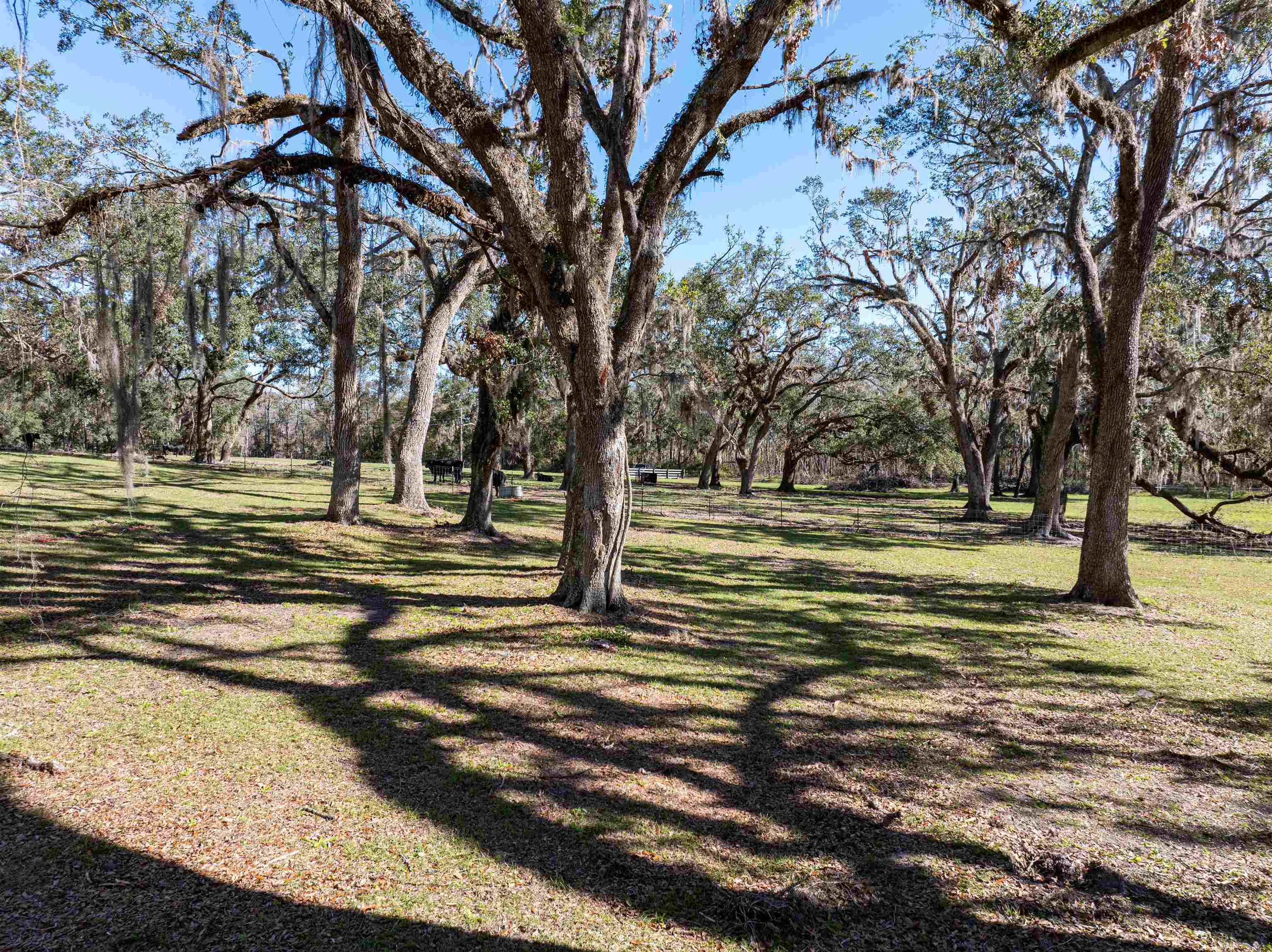 6482 NW Little Cat Road, Madison, Florida image 38