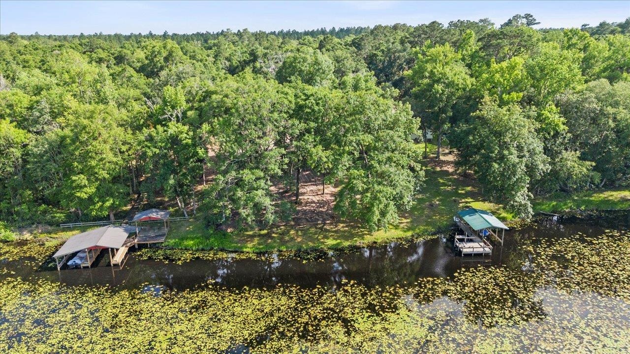 X Gould Road, Quincy, Florida image 19