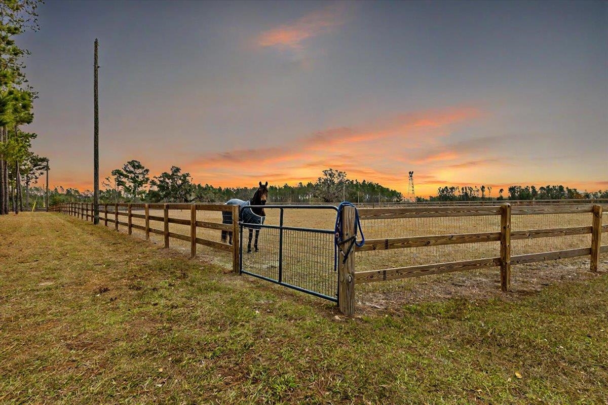 7087 Valhalla Ranch Drive, Perry, Florida image 4