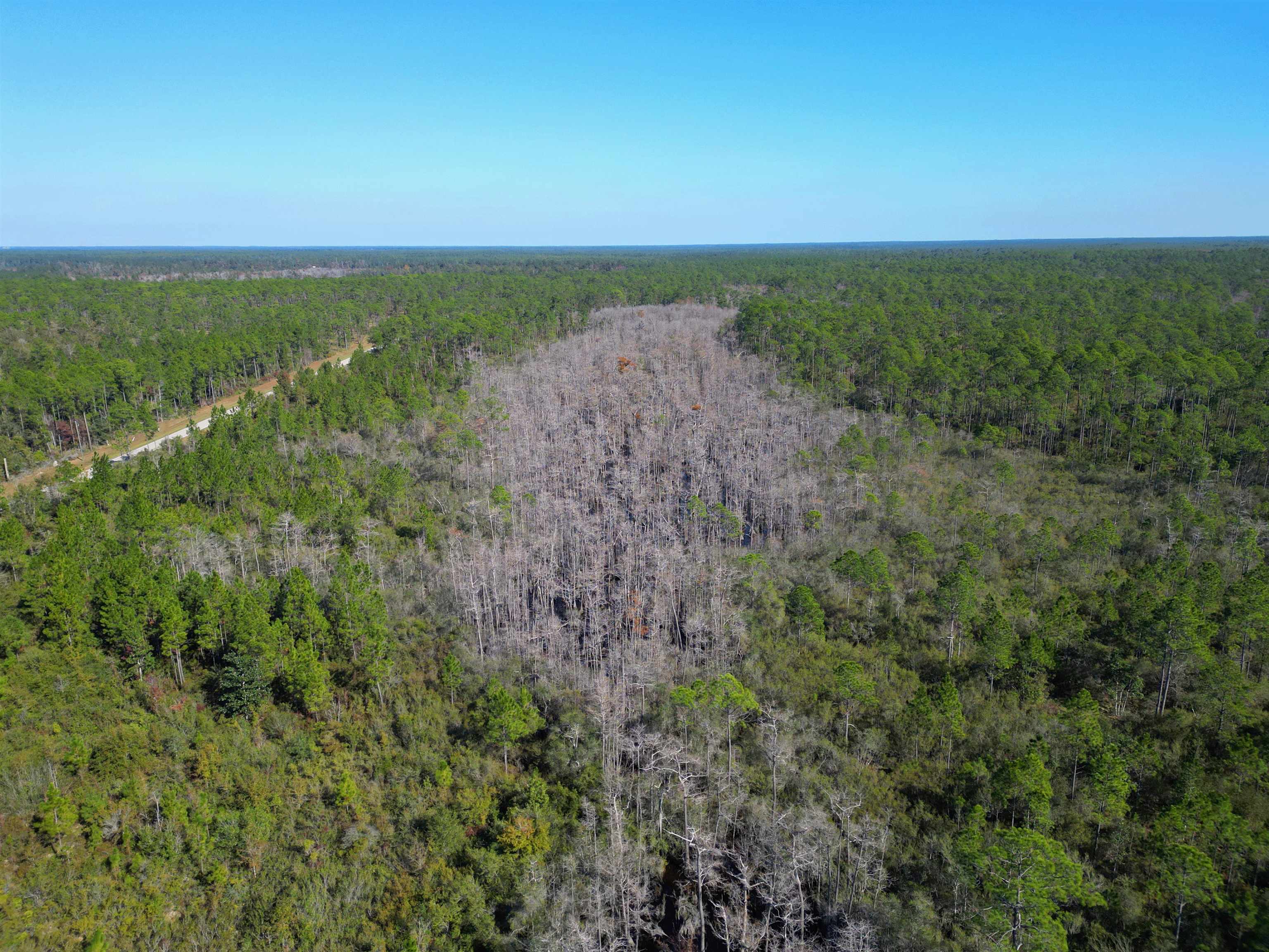 000 SW County Road 12 Road, Bristol, Florida image 3