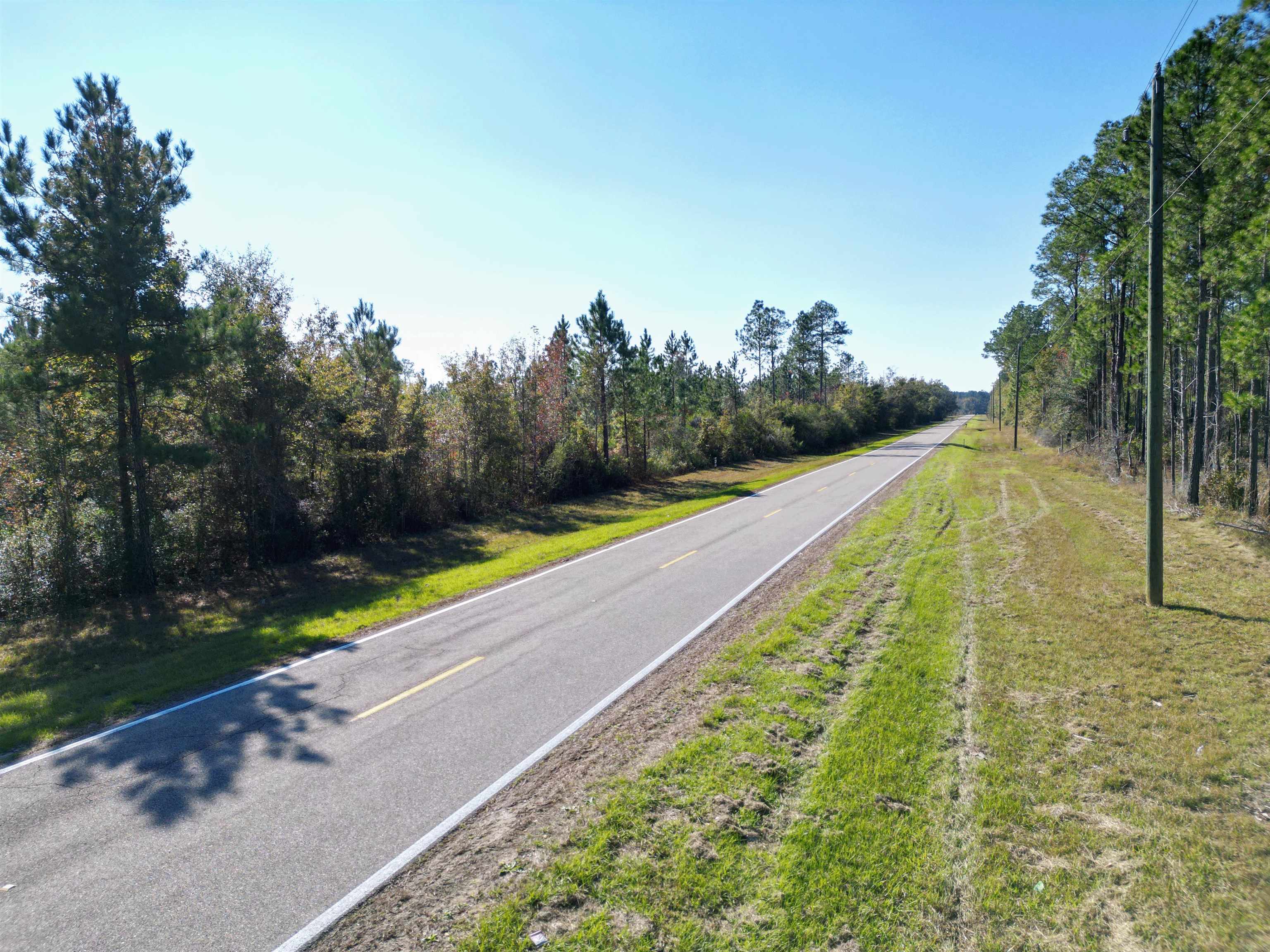 000 SW County Road 12 Road, Bristol, Florida image 6