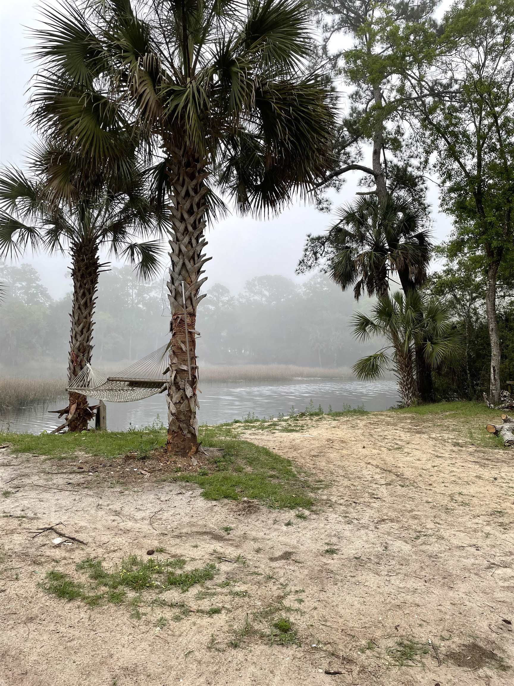 Bryant Street, Crawfordville, Florida image 16