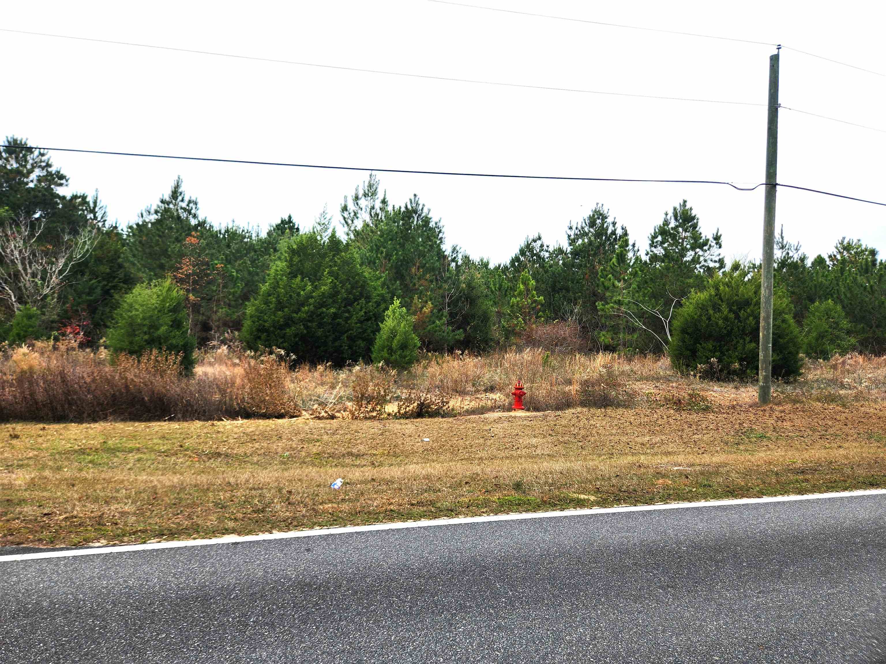 Xxx NW Freeman Road, Bristol, Florida image 8