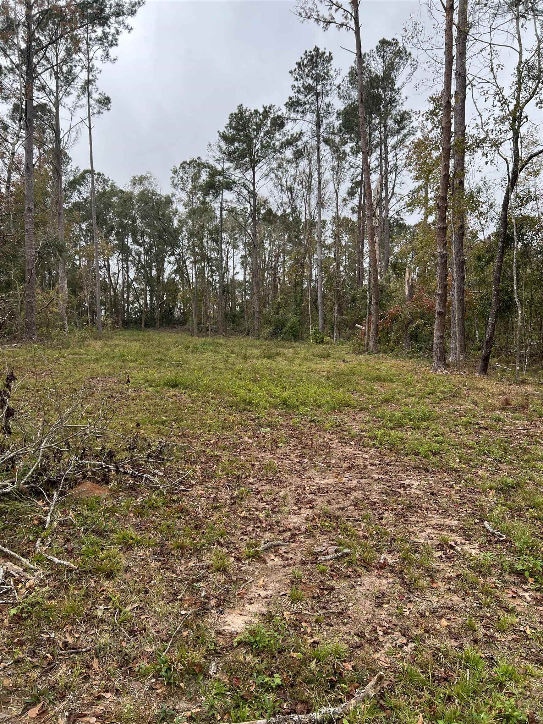 Masterson Court, Tallahassee, Florida image 3