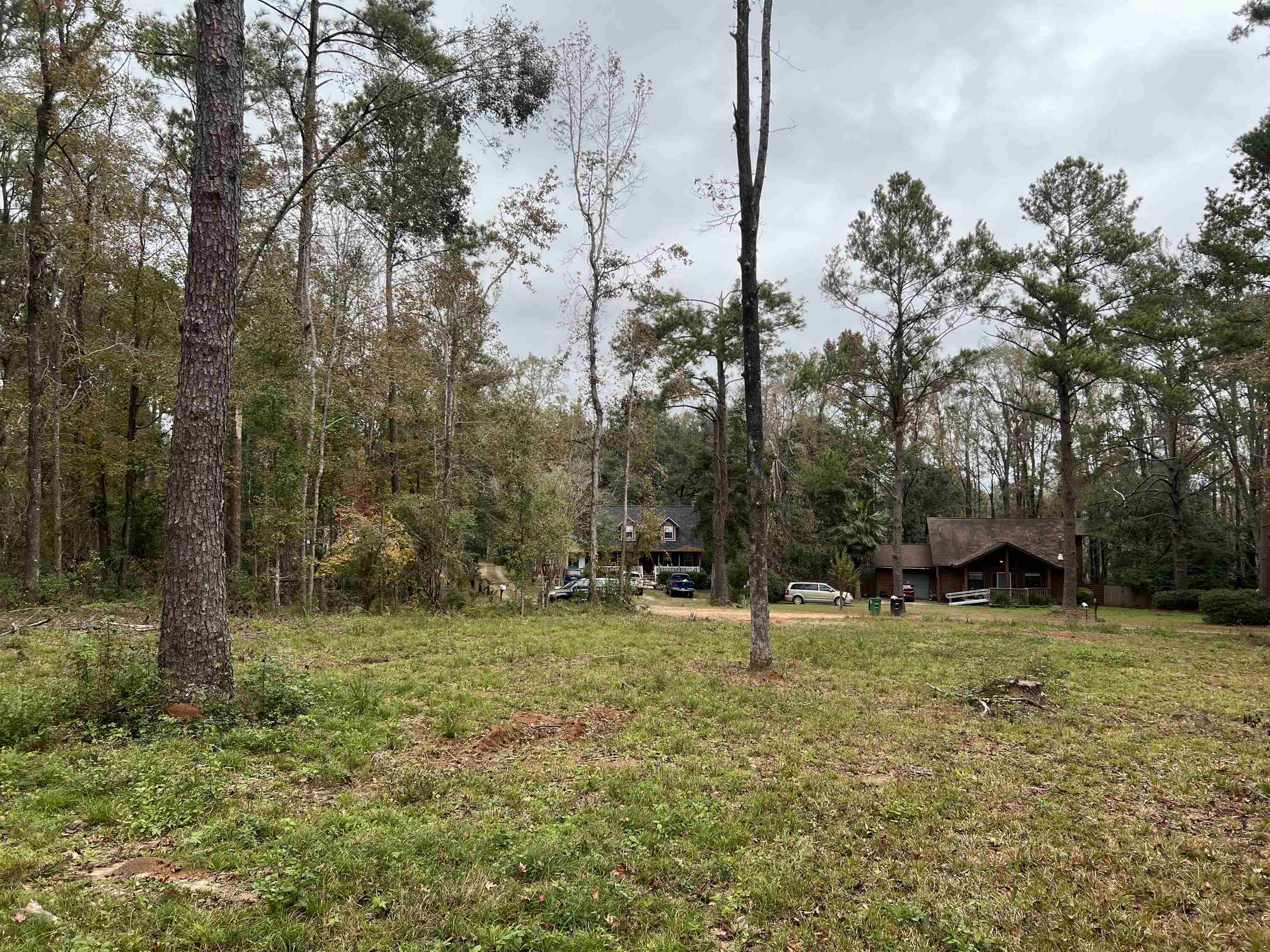 Masterson Court, Tallahassee, Florida image 8