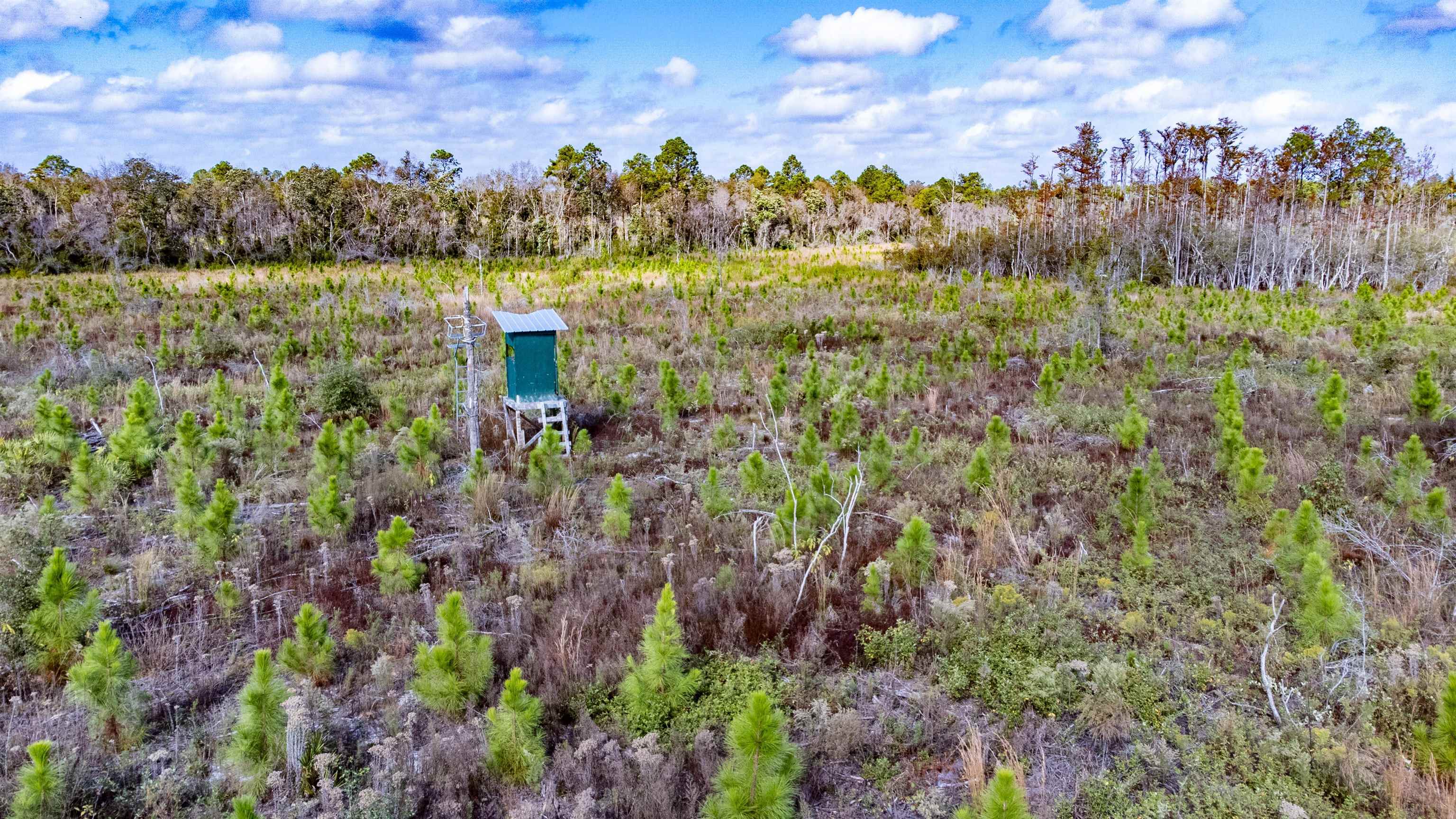 TBD Highway 20, Hosford, Florida image 11