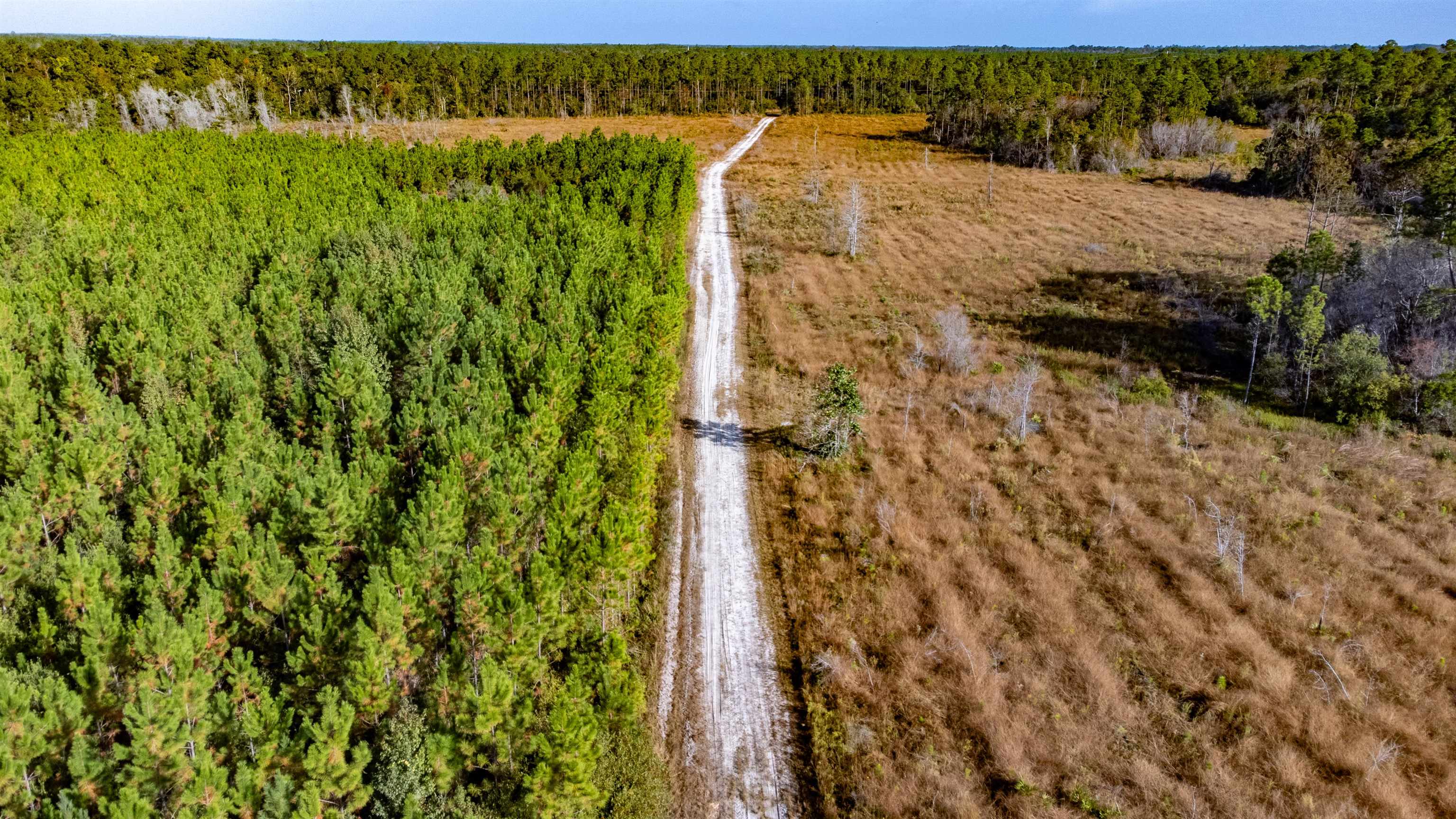 TBD Highway 20, Hosford, Florida image 7