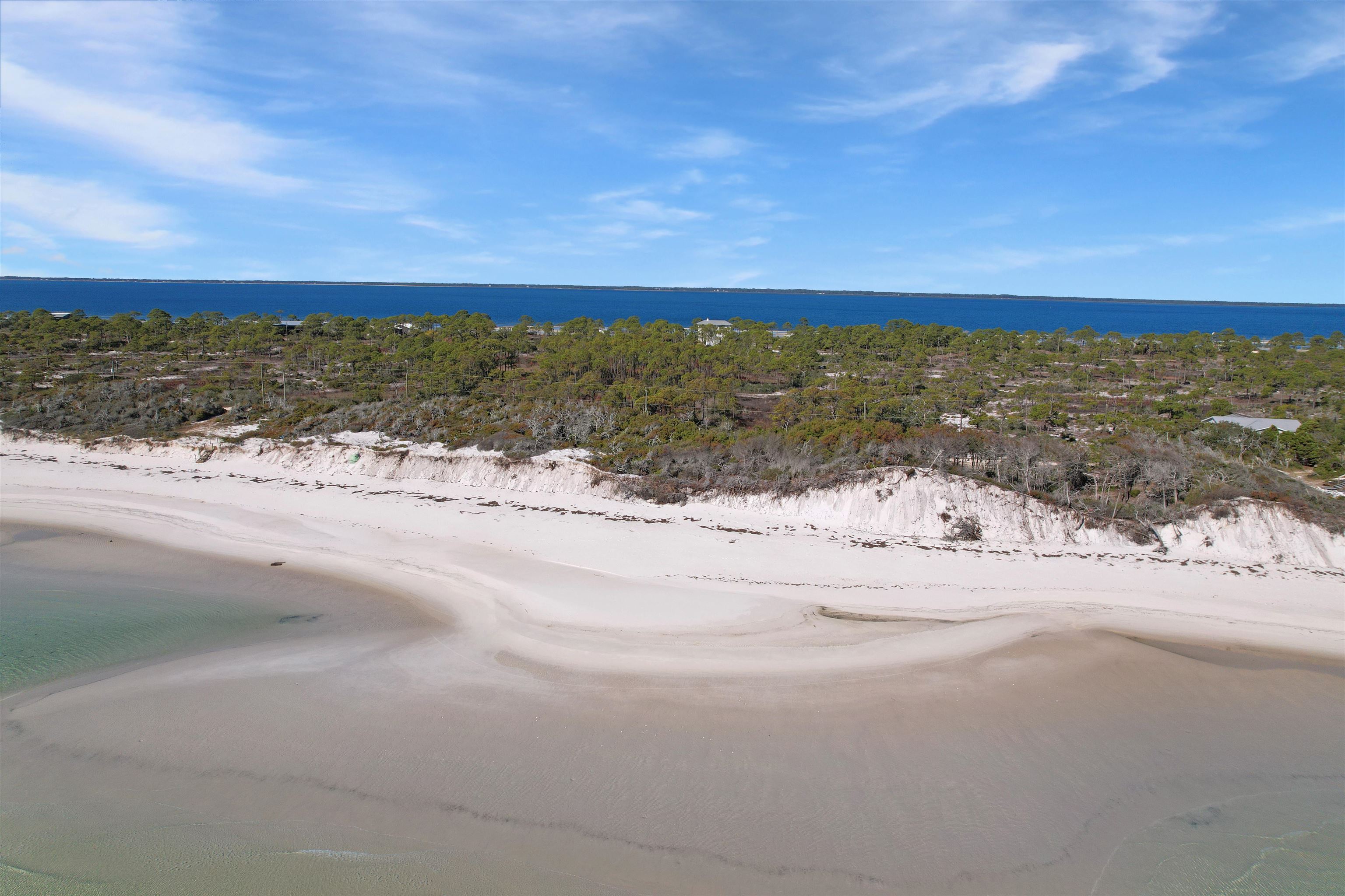 834 Gulf Shore Drive, Carrabelle, Florida image 4