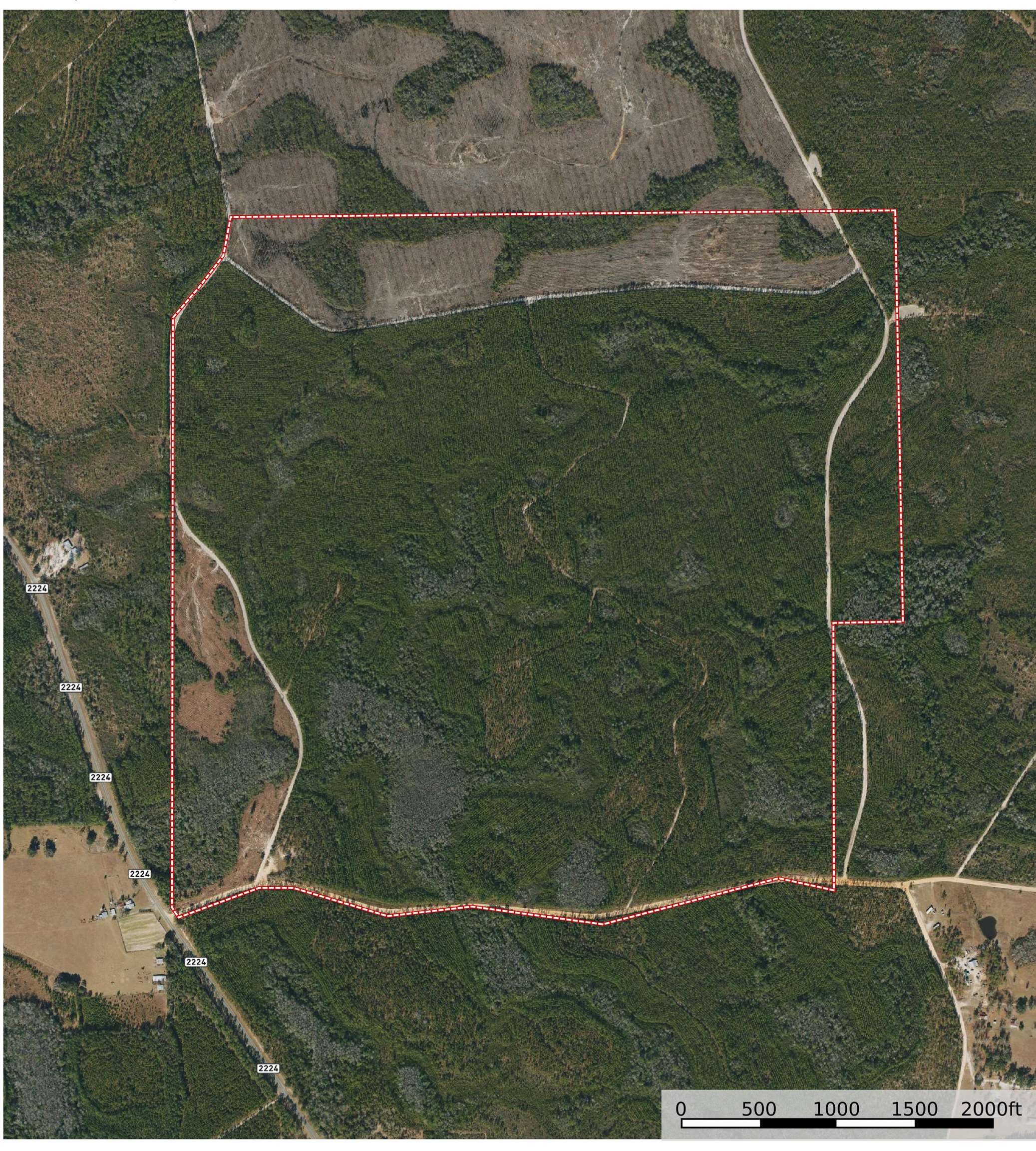 001 Firebreak 21 Road, Hosford, Florida image 1