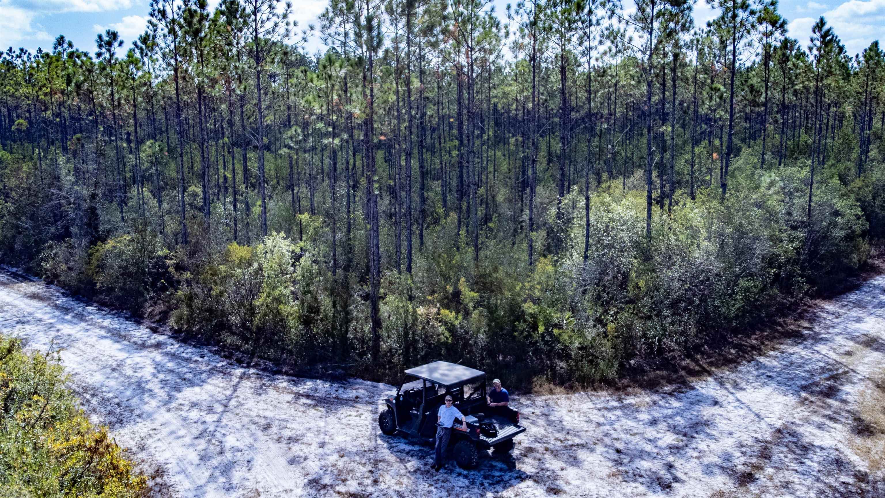 001 Firebreak 21 Road, Hosford, Florida image 11