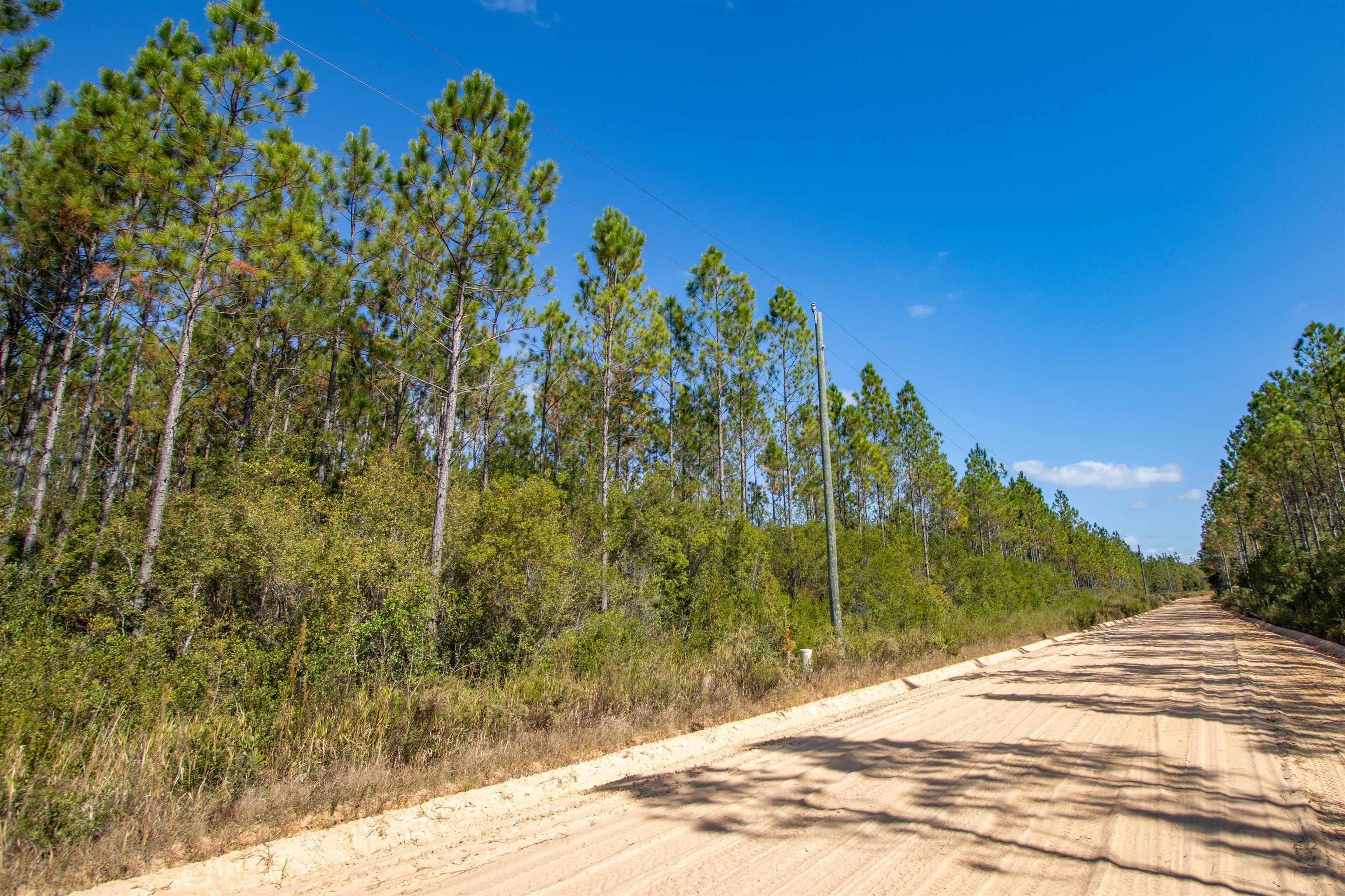 001 Firebreak 21 Road, Hosford, Florida image 9