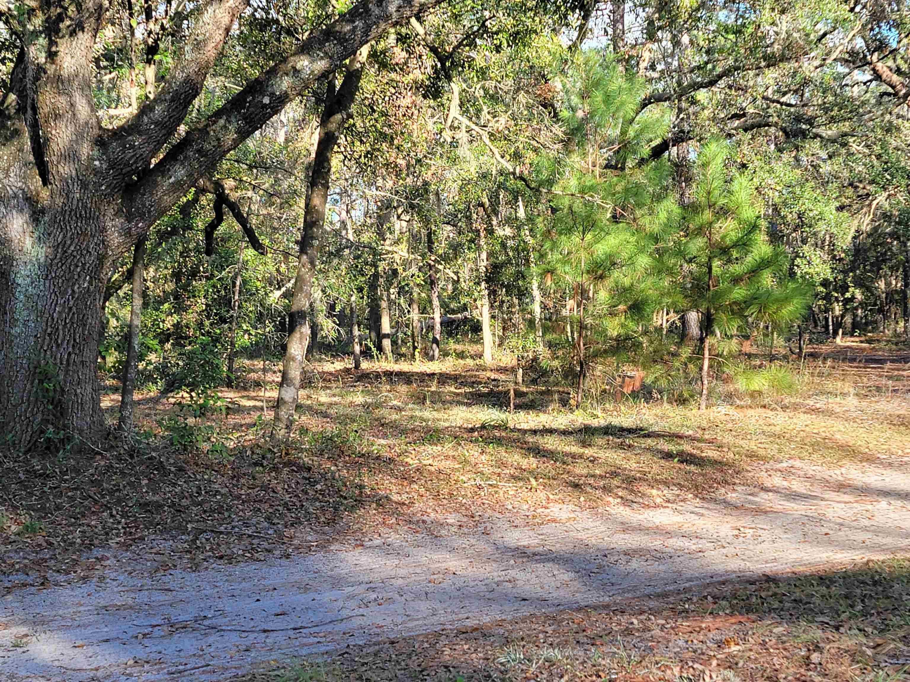 00 Landry Road, Perry, Florida image 1