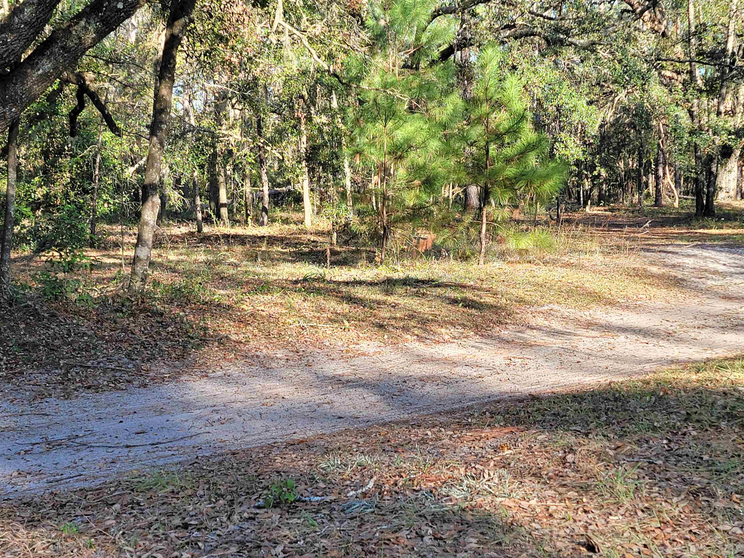 00 Landry Road, Perry, Florida image 3