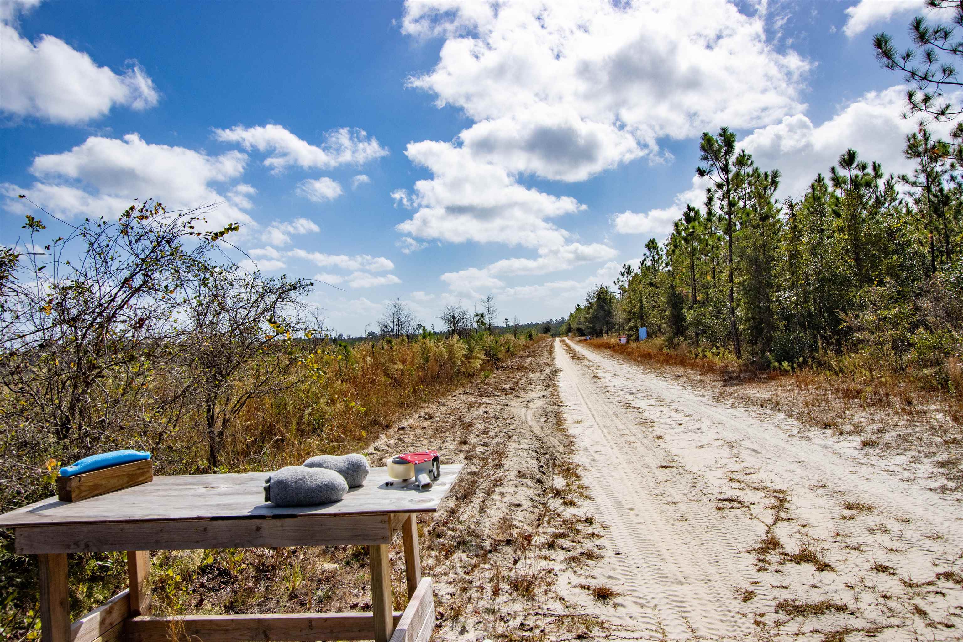 003 Hwy 20 Highway, Hosford, Florida image 3