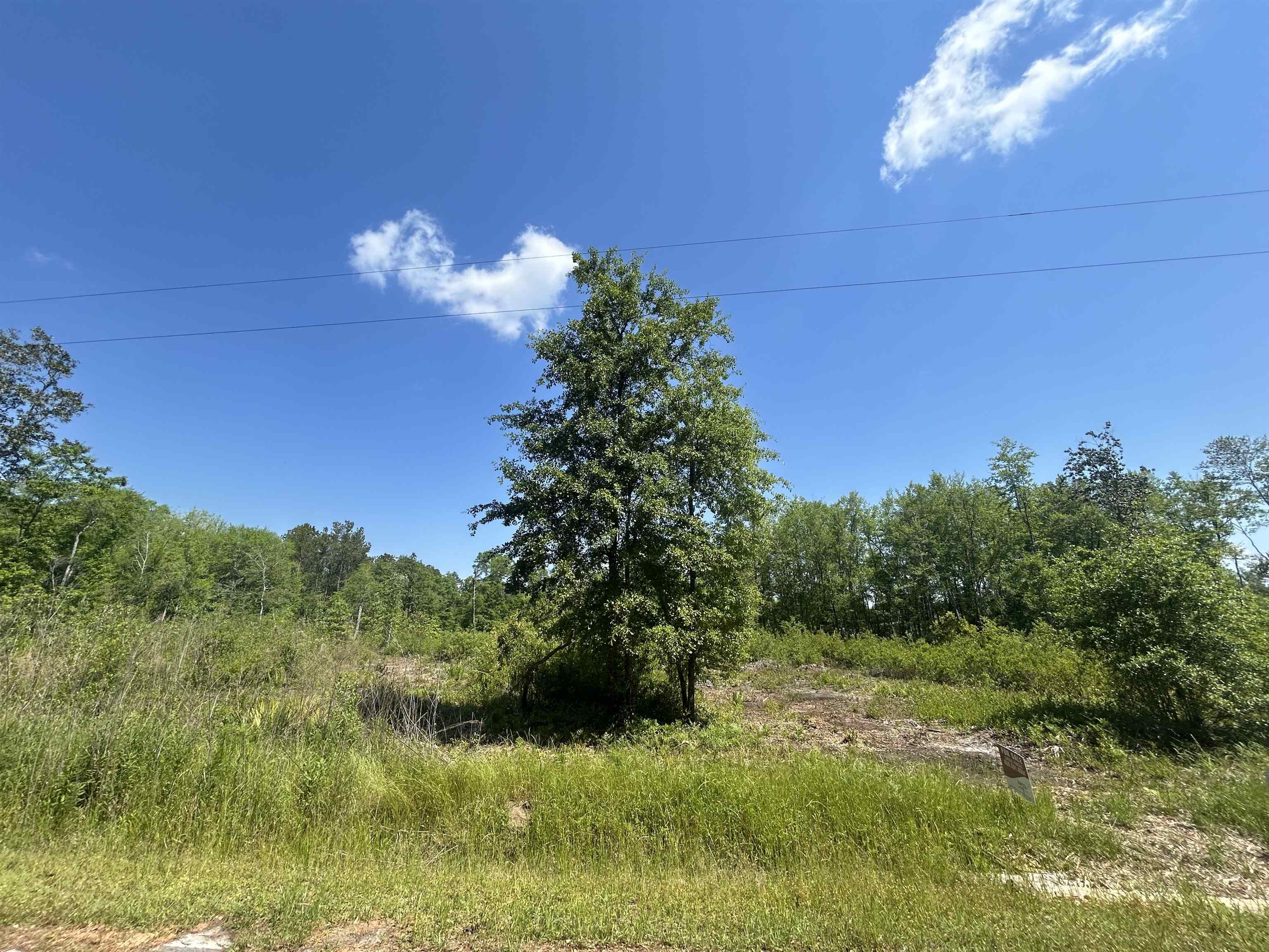 Ochlocknee River Road, Havana, Florida image 3