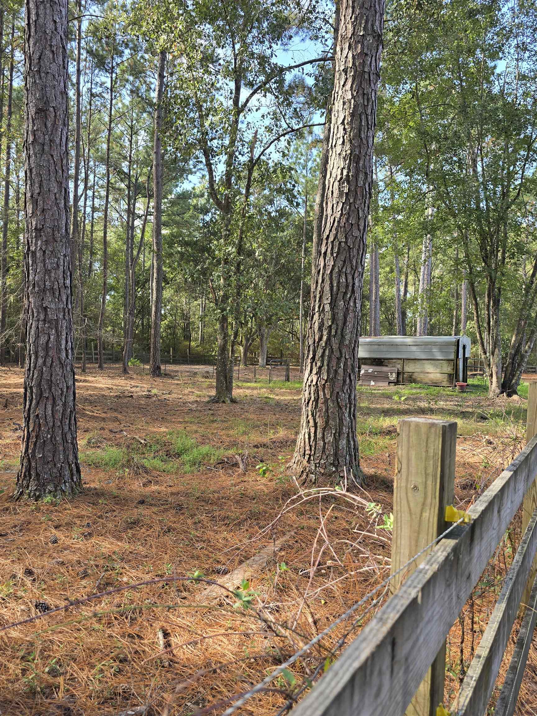 19339 Cotton Patch, Tallahassee, Florida image 14