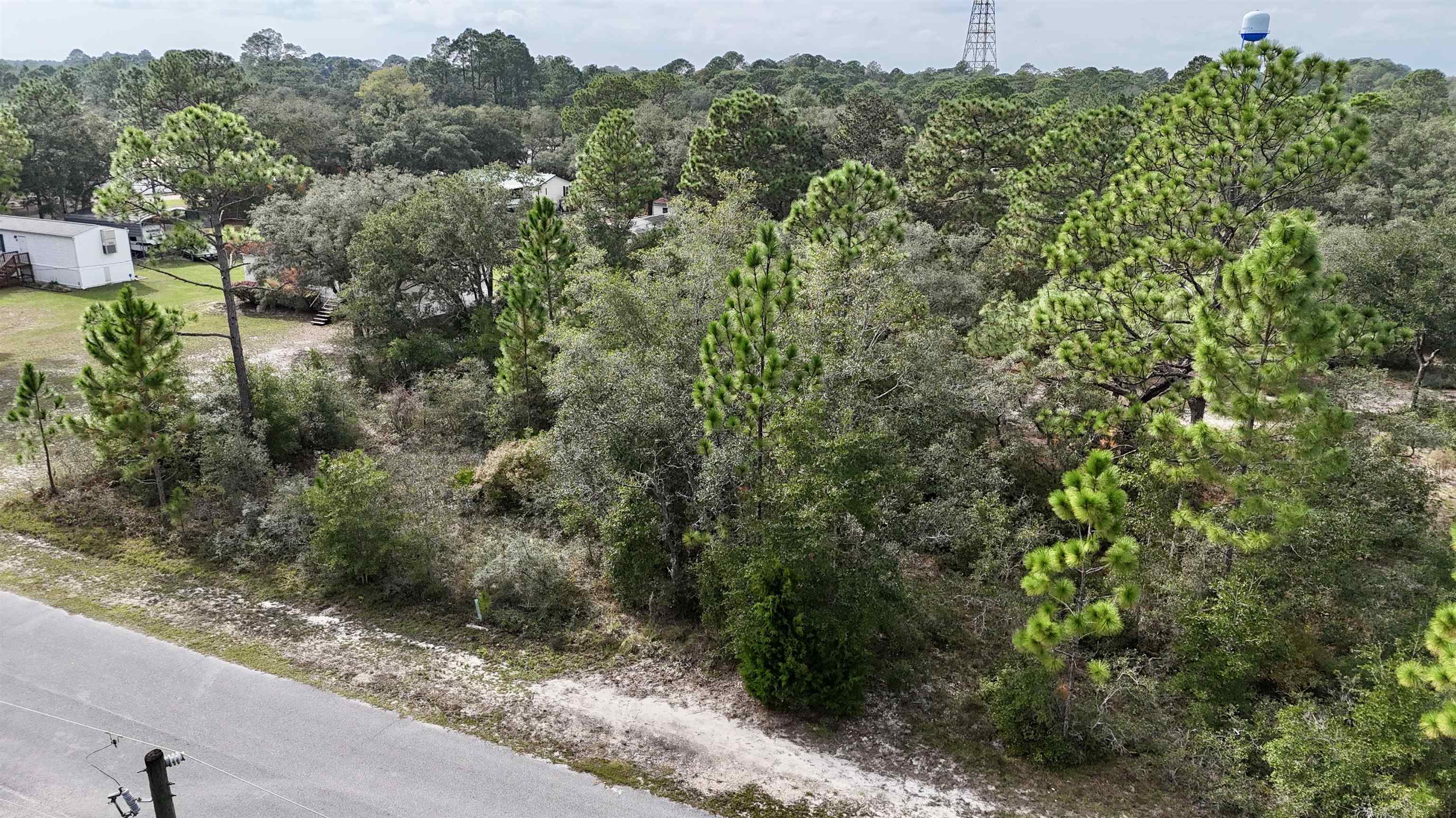 Lucy Lane, Panacea, Florida image 10