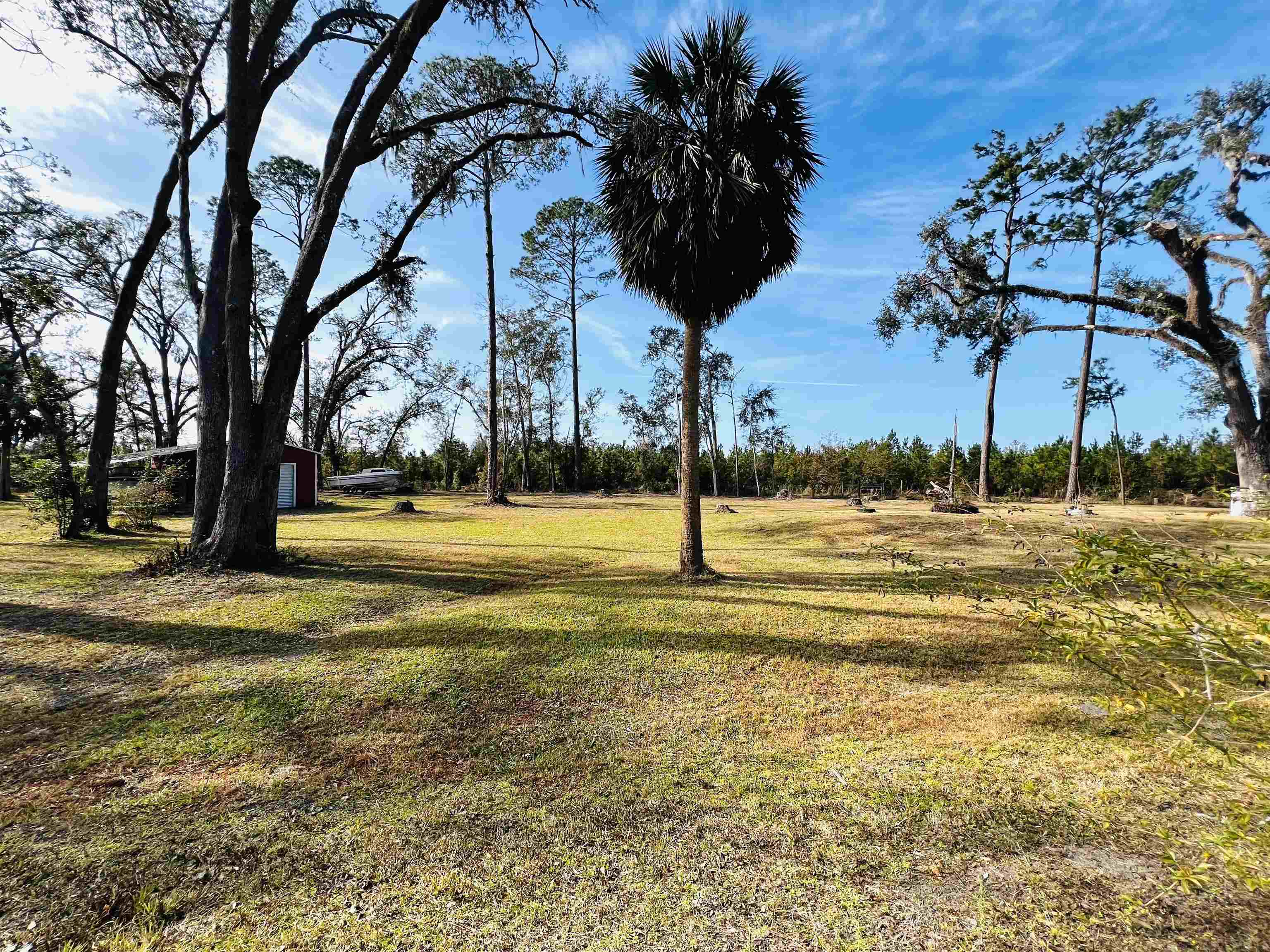 1991 Cairo Parker Road, Perry, Florida image 1