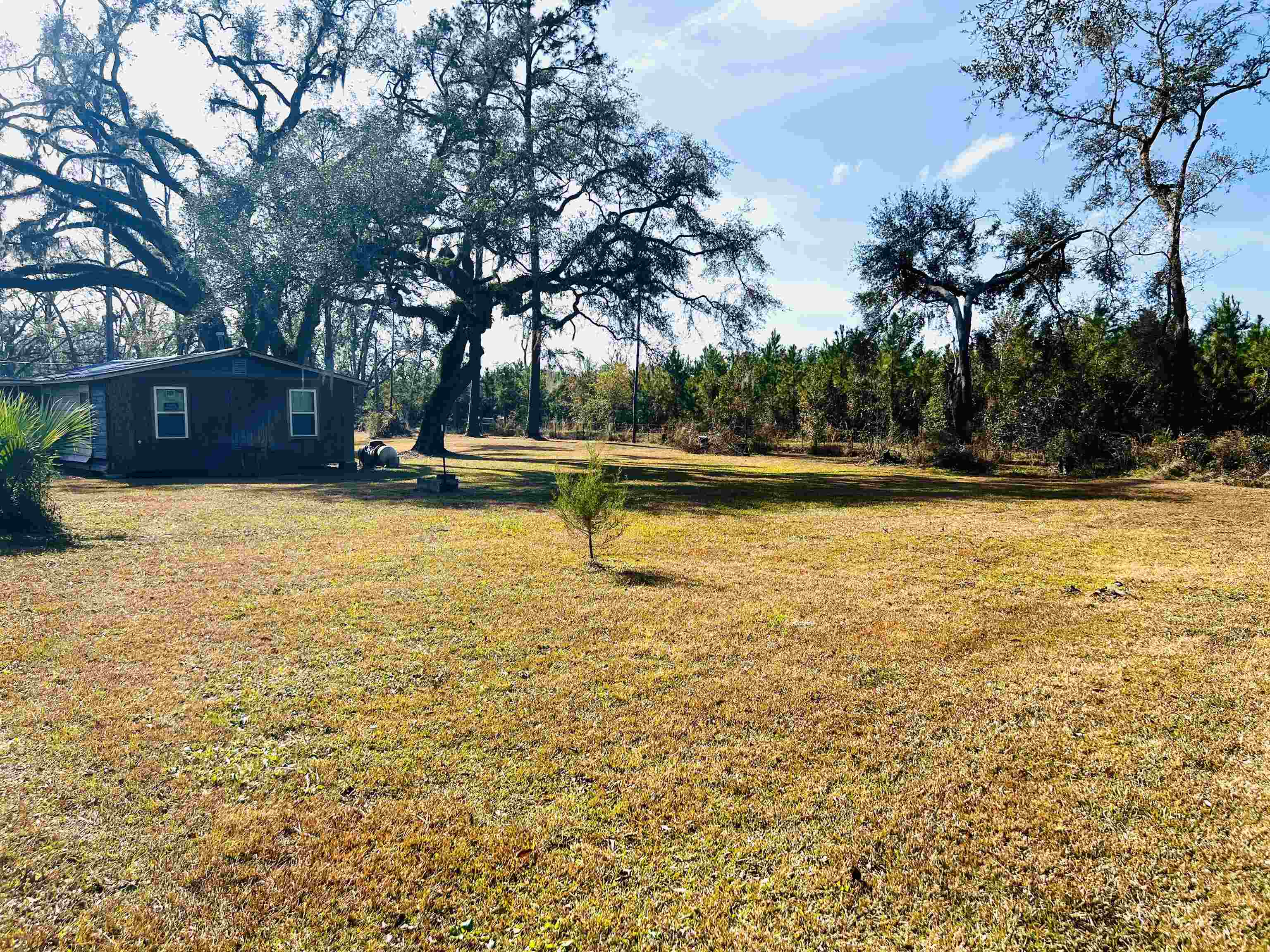 1991 Cairo Parker Road, Perry, Florida image 10