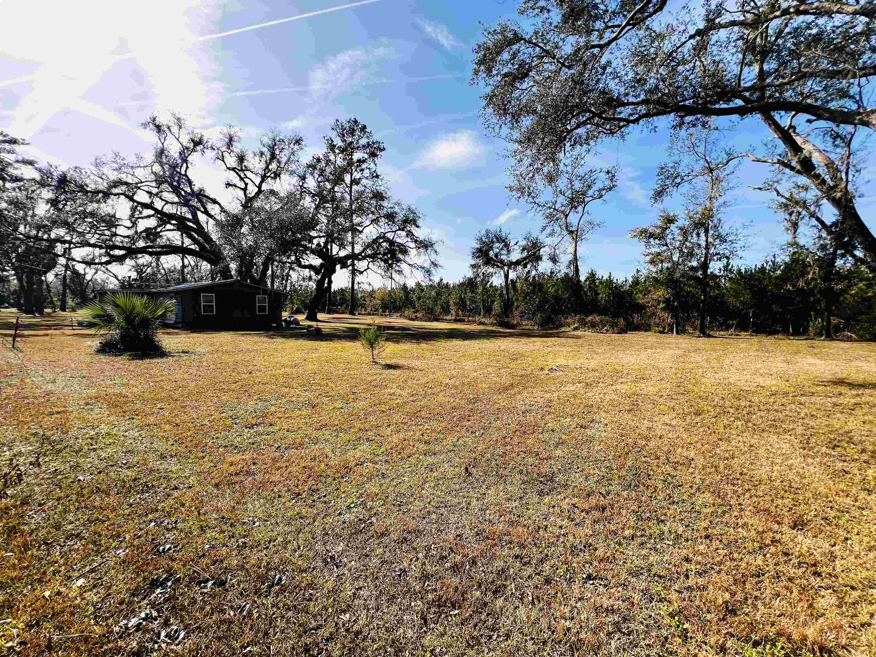 1991 Cairo Parker Road, Perry, Florida image 3