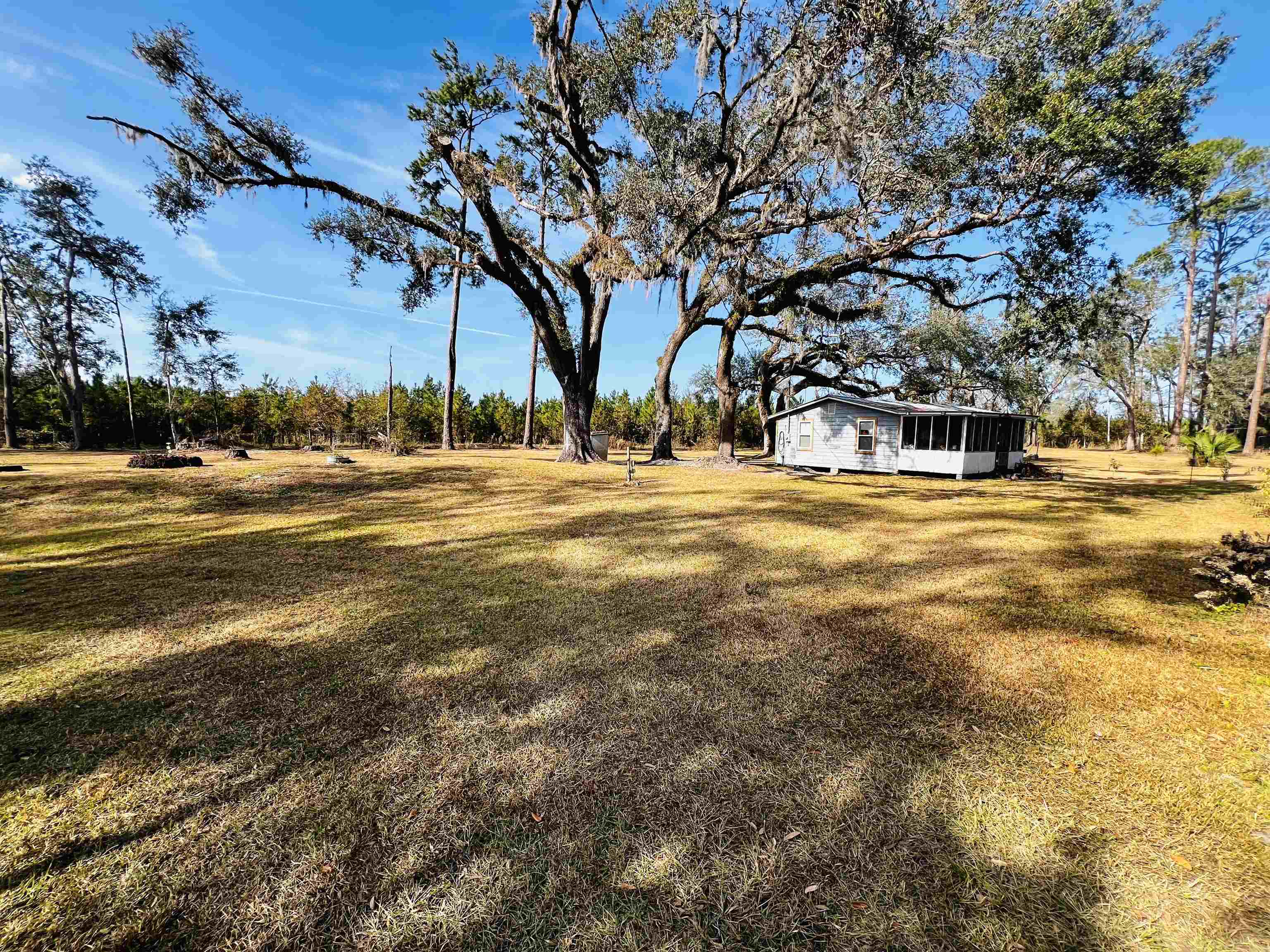 1991 Cairo Parker Road, Perry, Florida image 4