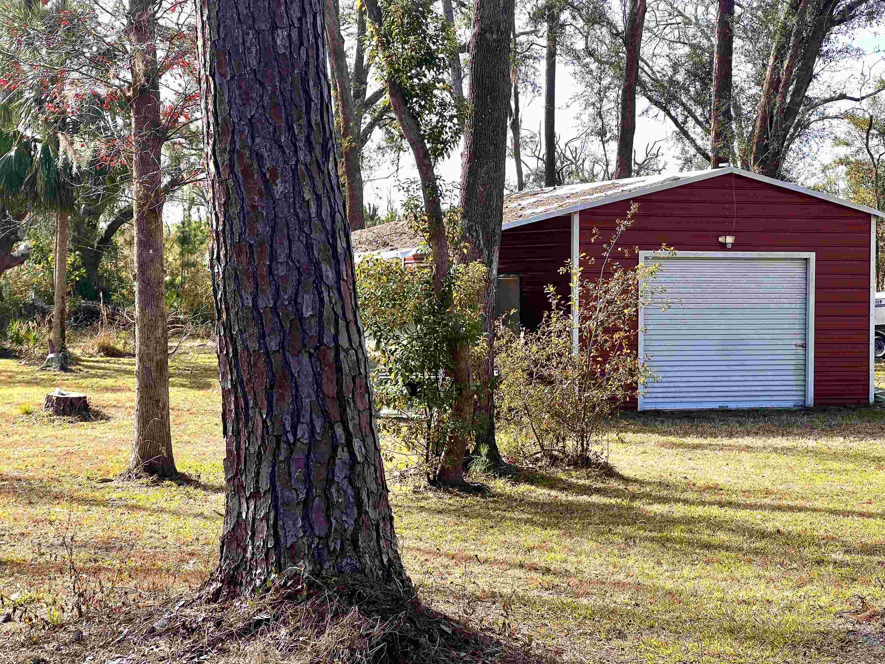 1991 Cairo Parker Road, Perry, Florida image 6