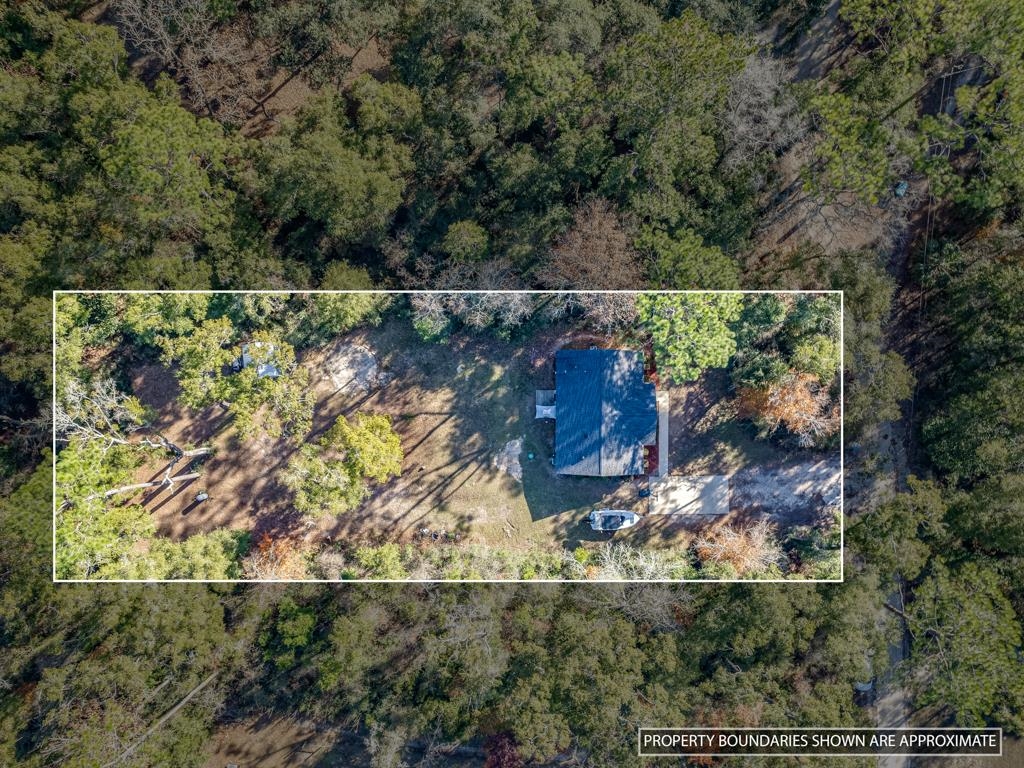 54 San Peoro Drive, Crawfordville, Florida image 26