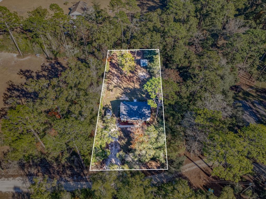 54 San Peoro Drive, Crawfordville, Florida image 3