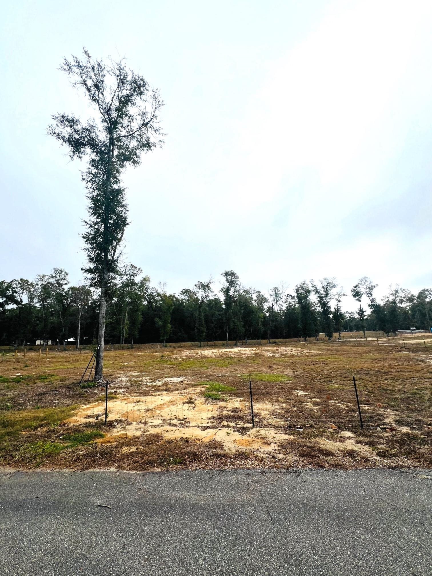 New Market Road, Hosford, Florida image 1