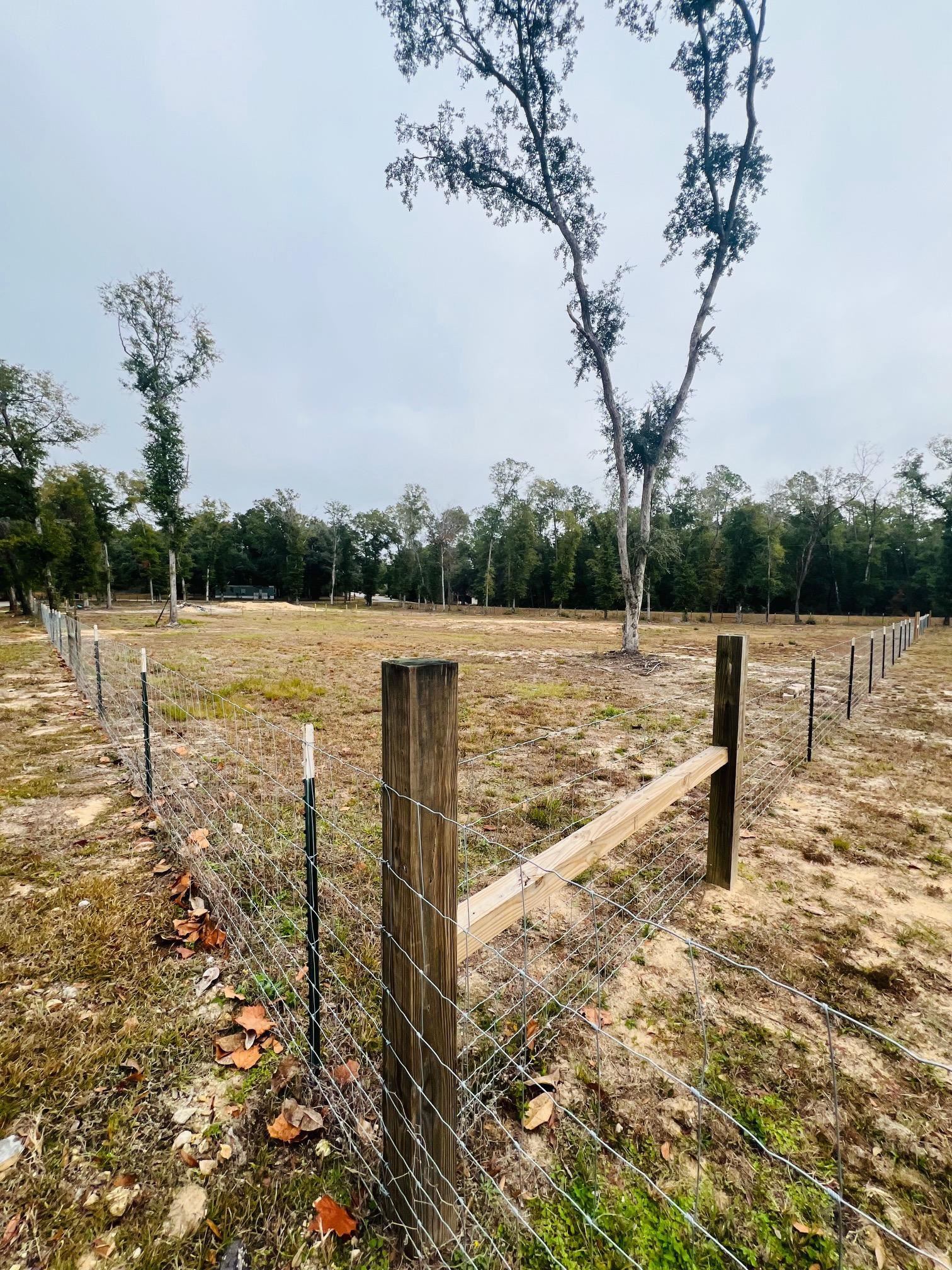 New Market Road, Hosford, Florida image 4