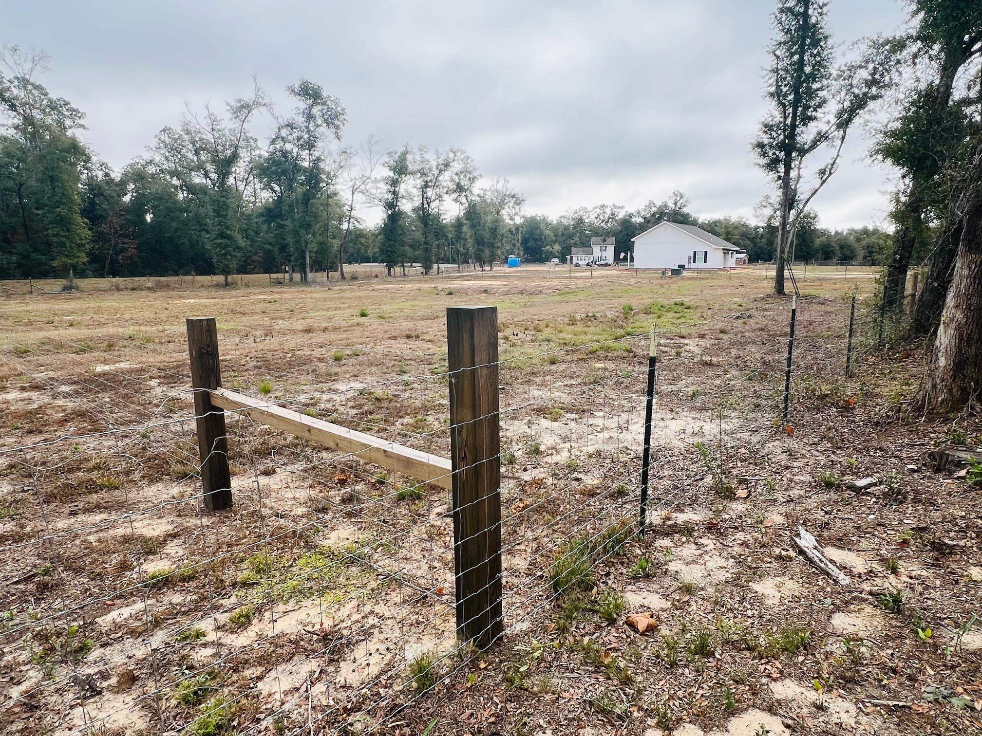 New Market Road, Hosford, Florida image 4