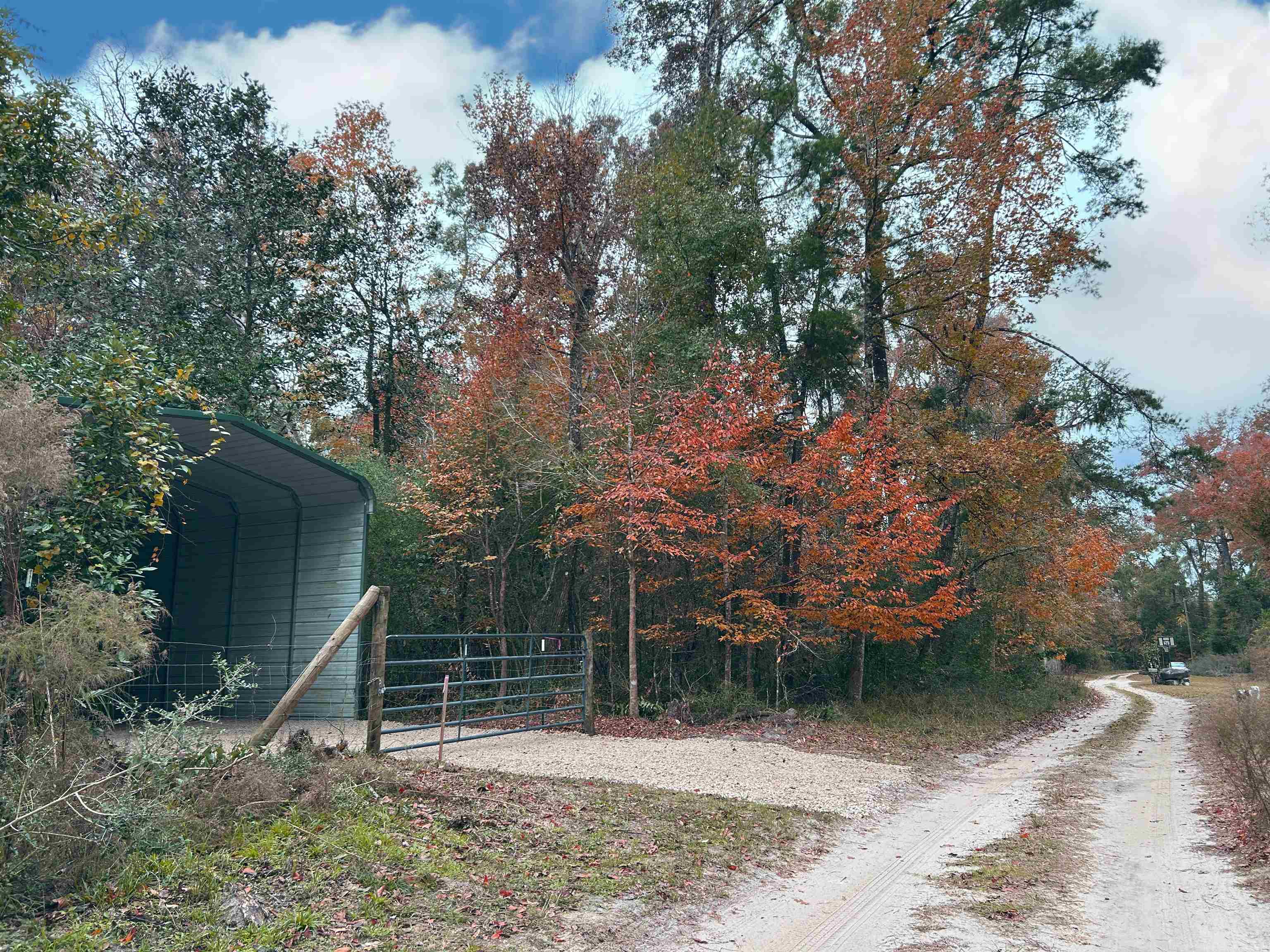 Turkey Trail, Crawfordville, Florida image 1