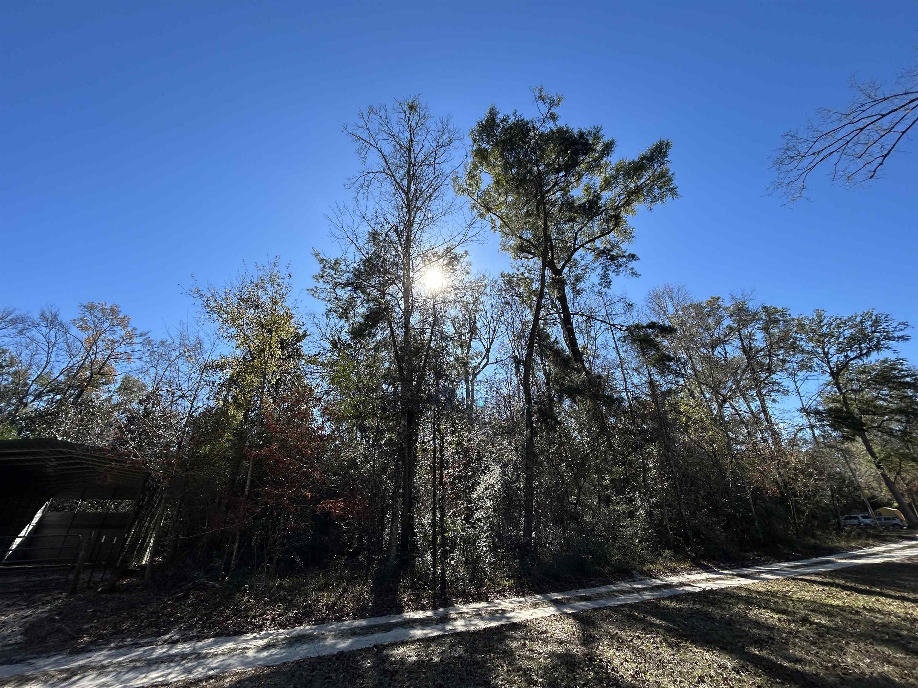 Turkey Trail, Crawfordville, Florida image 7