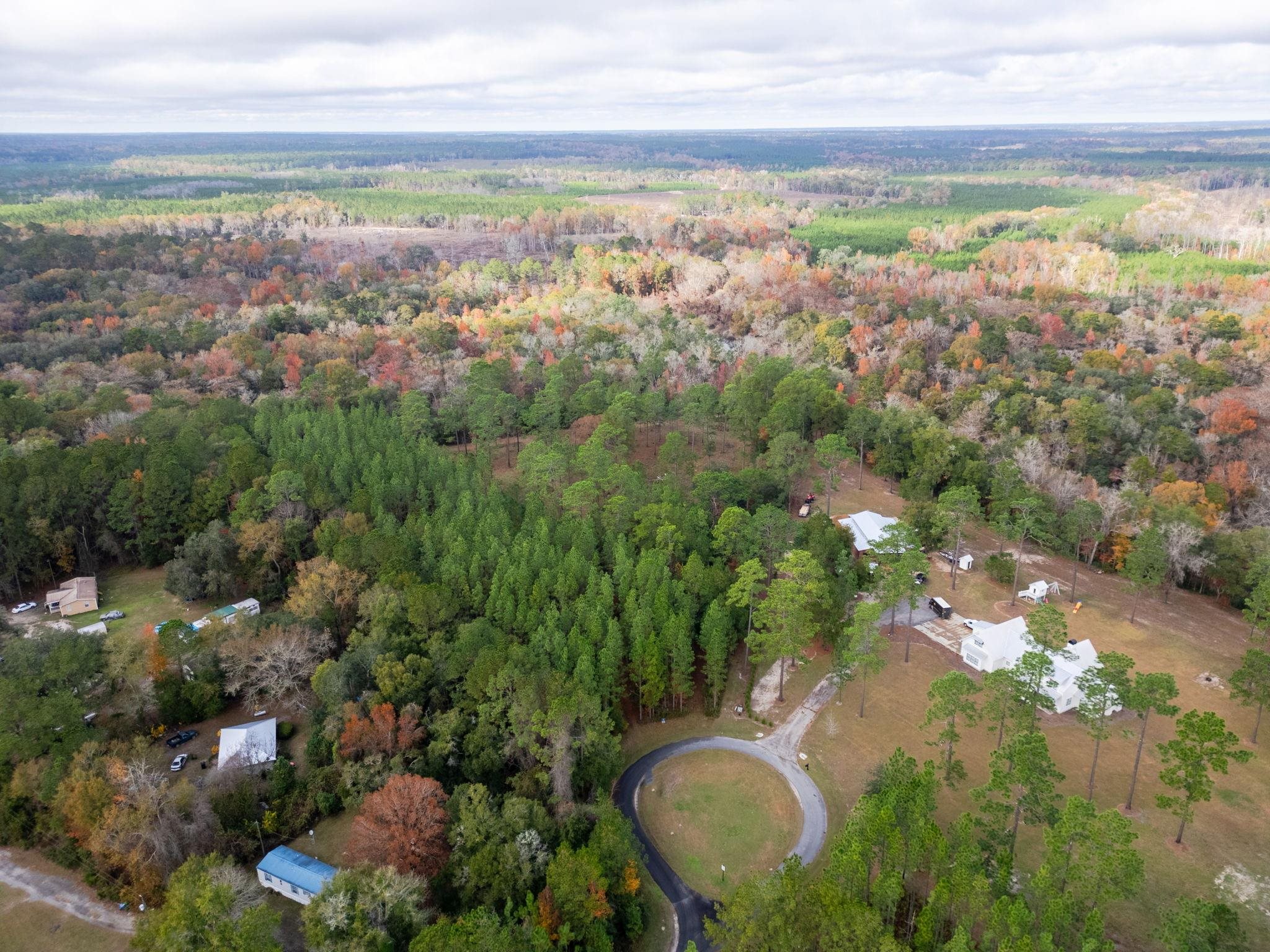 Pine Bluff Trail, Tallahassee, Florida image 10