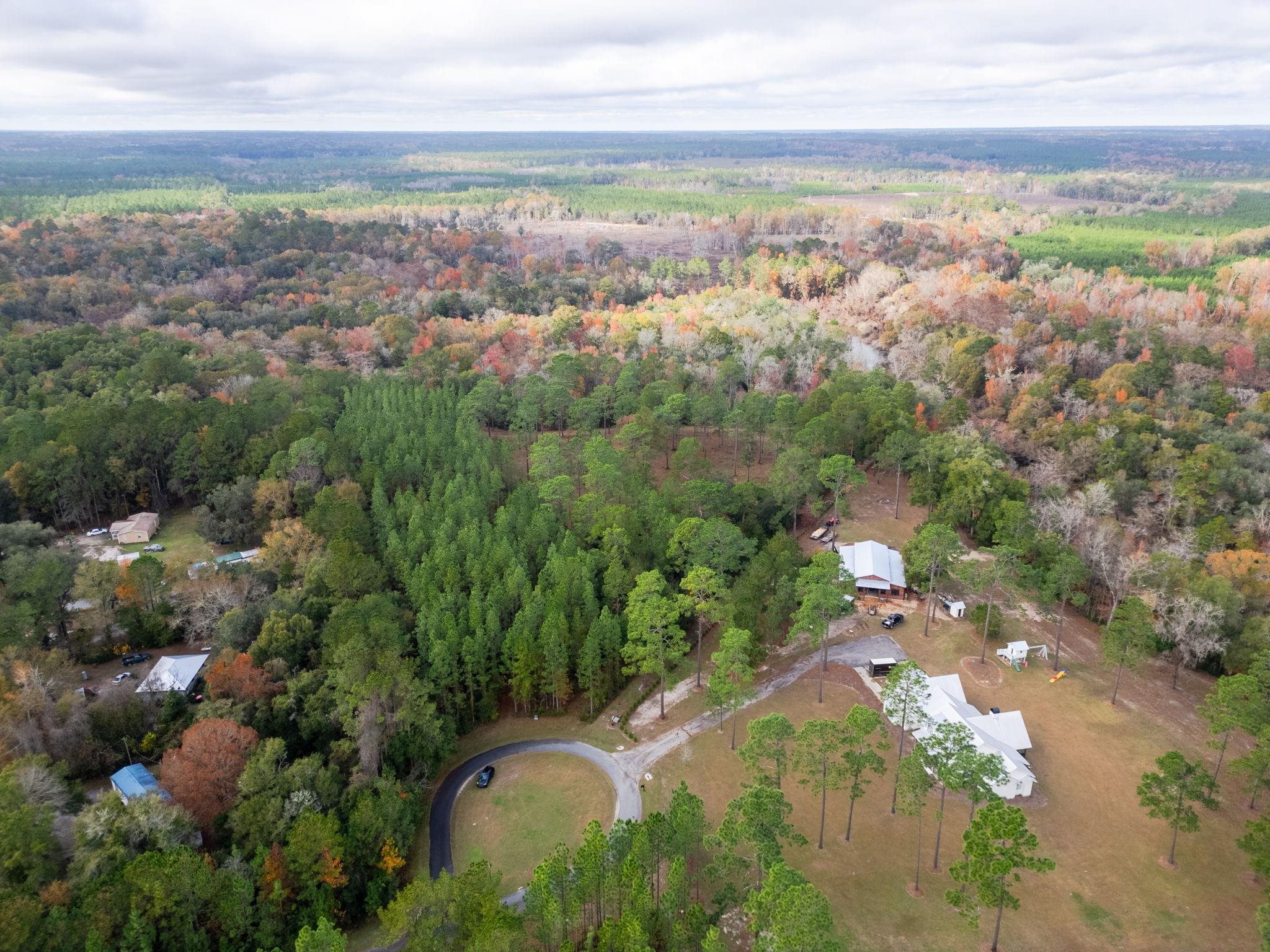 Pine Bluff Trail, Tallahassee, Florida image 11