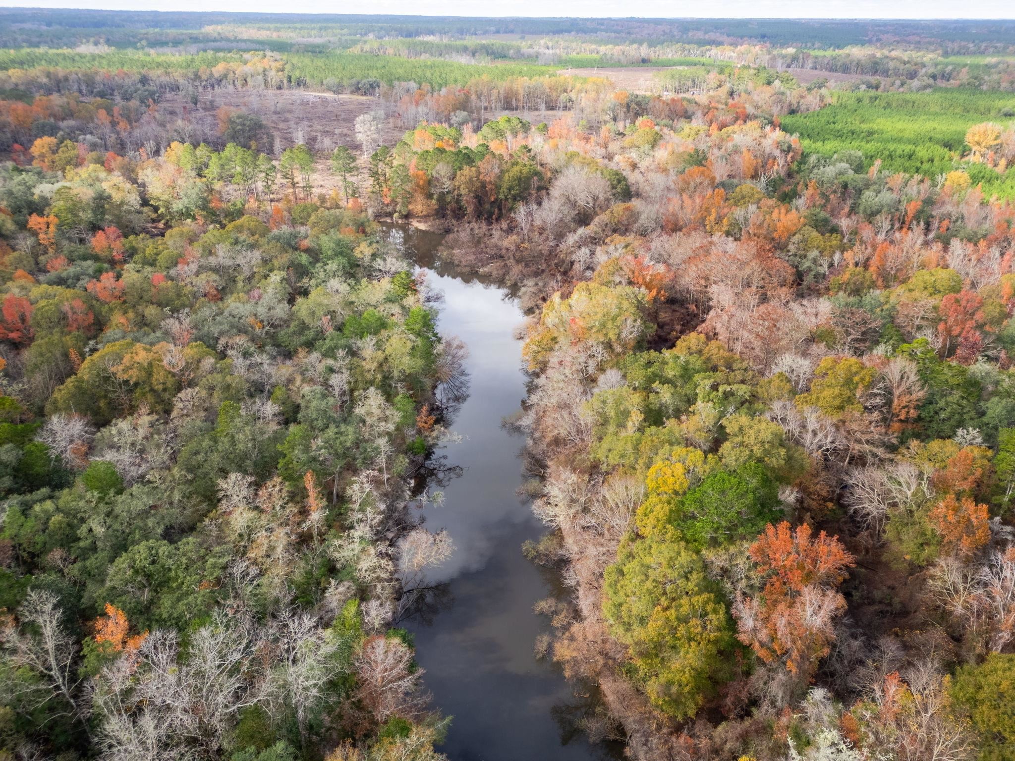 Pine Bluff Trail, Tallahassee, Florida image 12