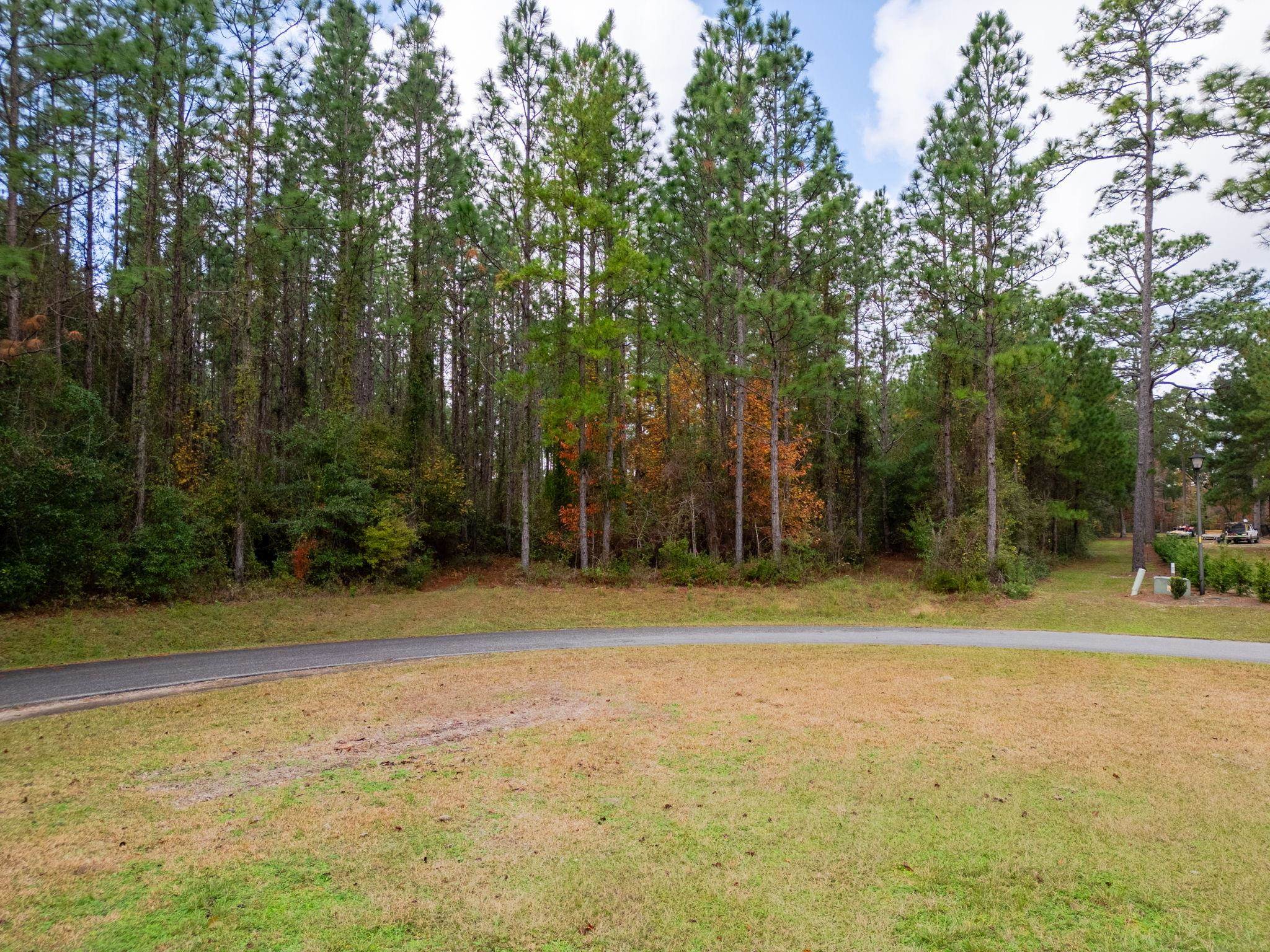 Pine Bluff Trail, Tallahassee, Florida image 13