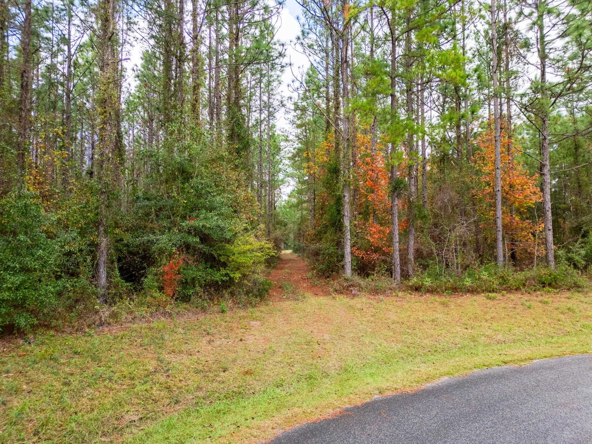 Pine Bluff Trail, Tallahassee, Florida image 15