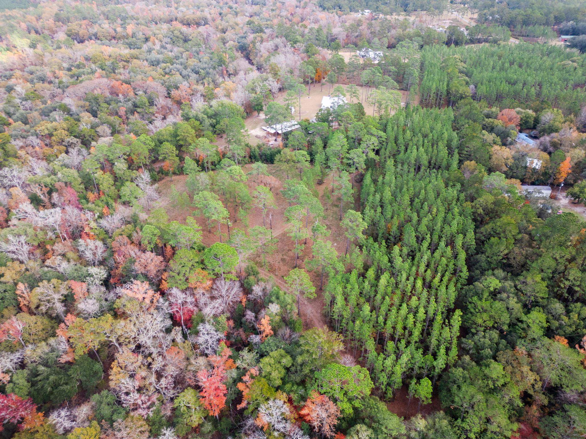 Pine Bluff Trail, Tallahassee, Florida image 4