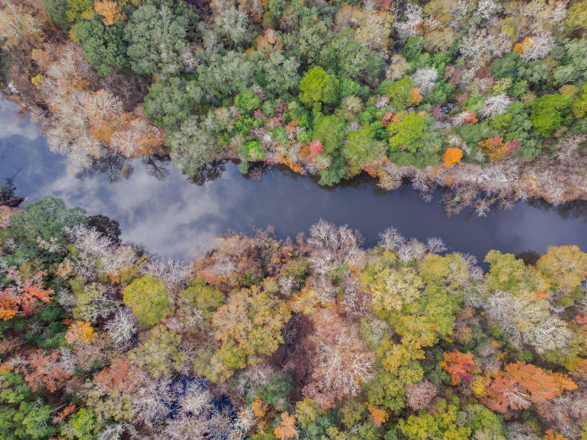 Pine Bluff Trail, Tallahassee, Florida image 6