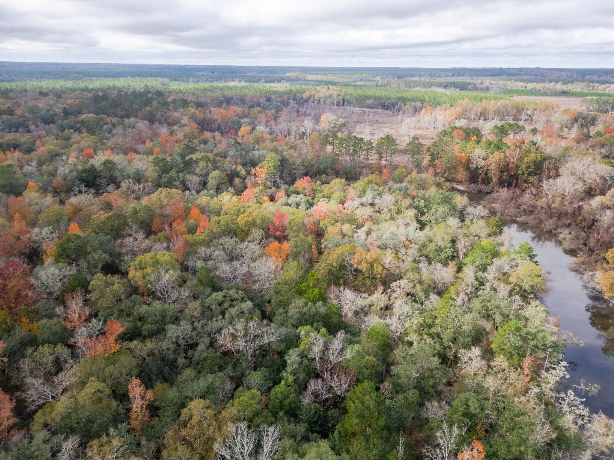 Pine Bluff Trail, Tallahassee, Florida image 8