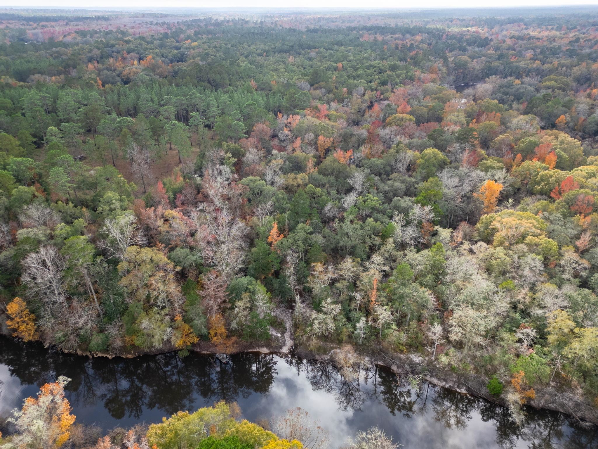 Pine Bluff Trail, Tallahassee, Florida image 9