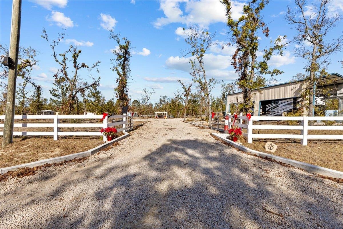 131 Leslie Lane, Keaton Beach, Florida image 3