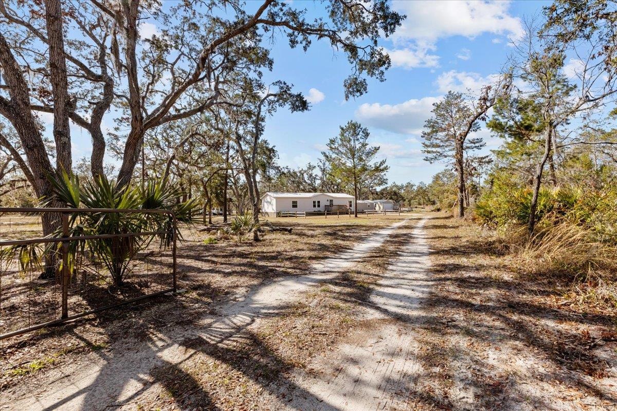 15621 Shell Drive, Keaton Beach, Florida image 37