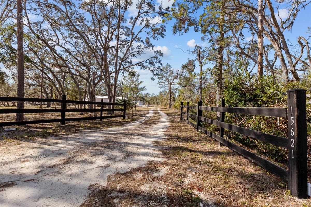 15621 Shell Drive, Keaton Beach, Florida image 38