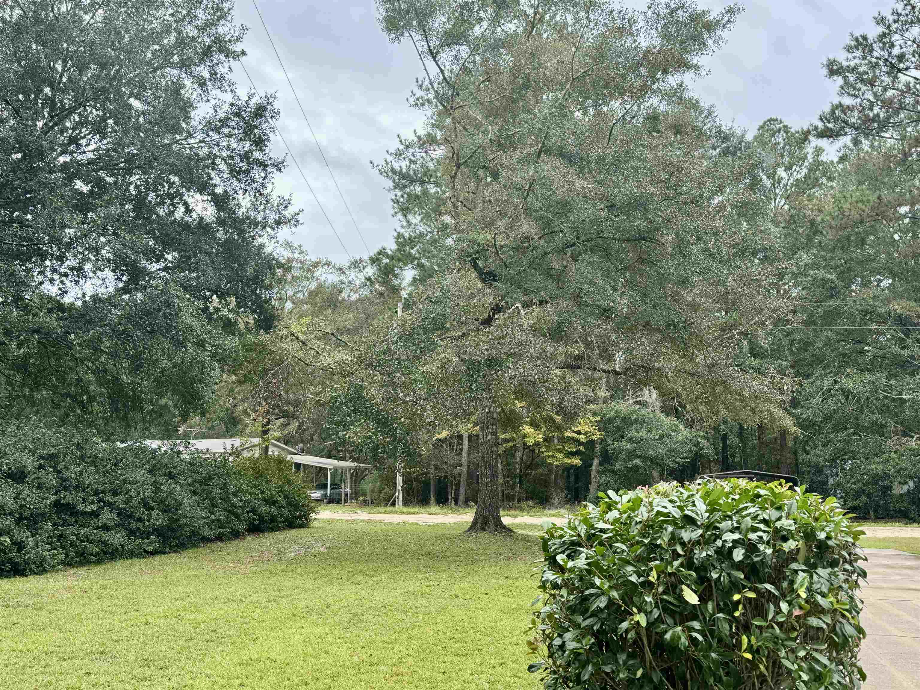 7325 Springhawk Loop, Tallahassee, Florida image 27