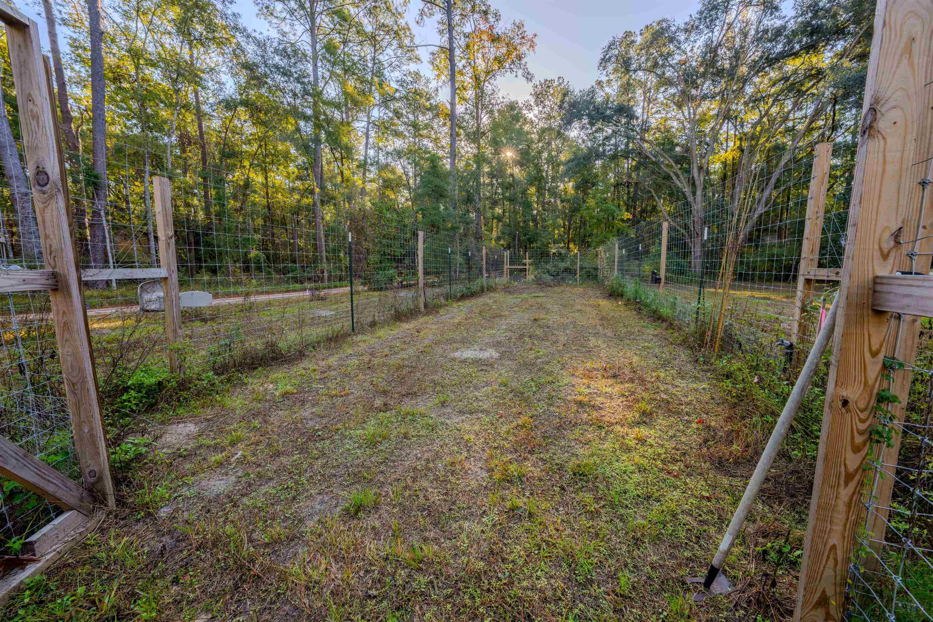 90003 Leaping Deer Lane, Tallahassee, Florida image 6