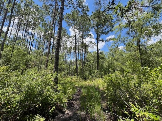 TBD SW Open Sands Loop, Greenville, Florida image 3