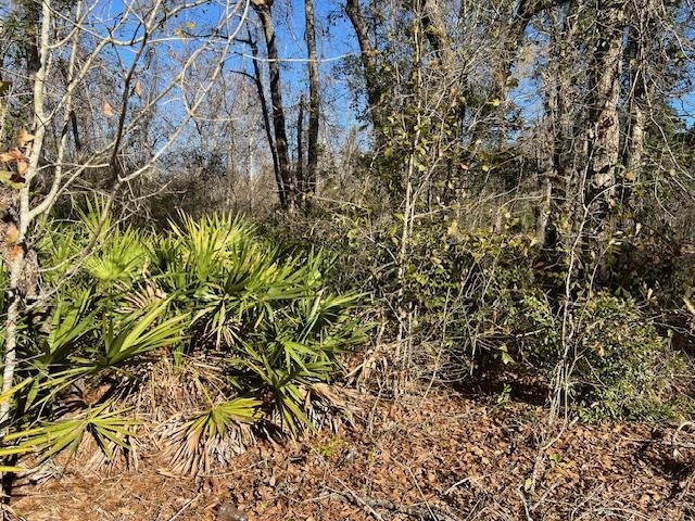 TBD SW Open Sands Loop, Greenville, Florida image 9